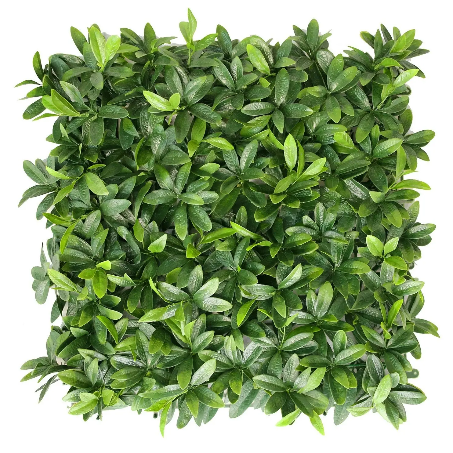 Artificial Laurel Hedge 50x50cm