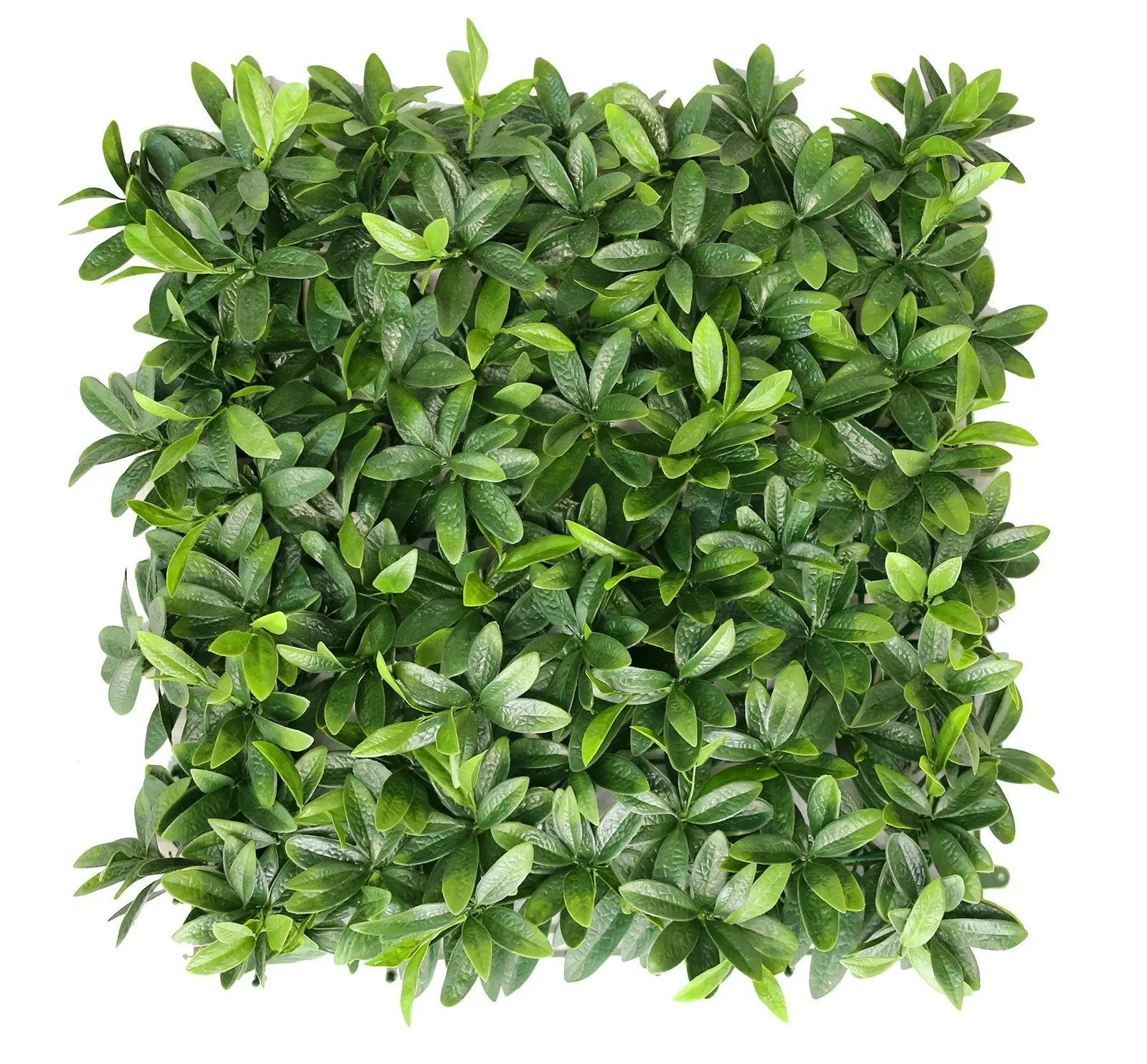 Artificial Laurel Hedge 50x50cm