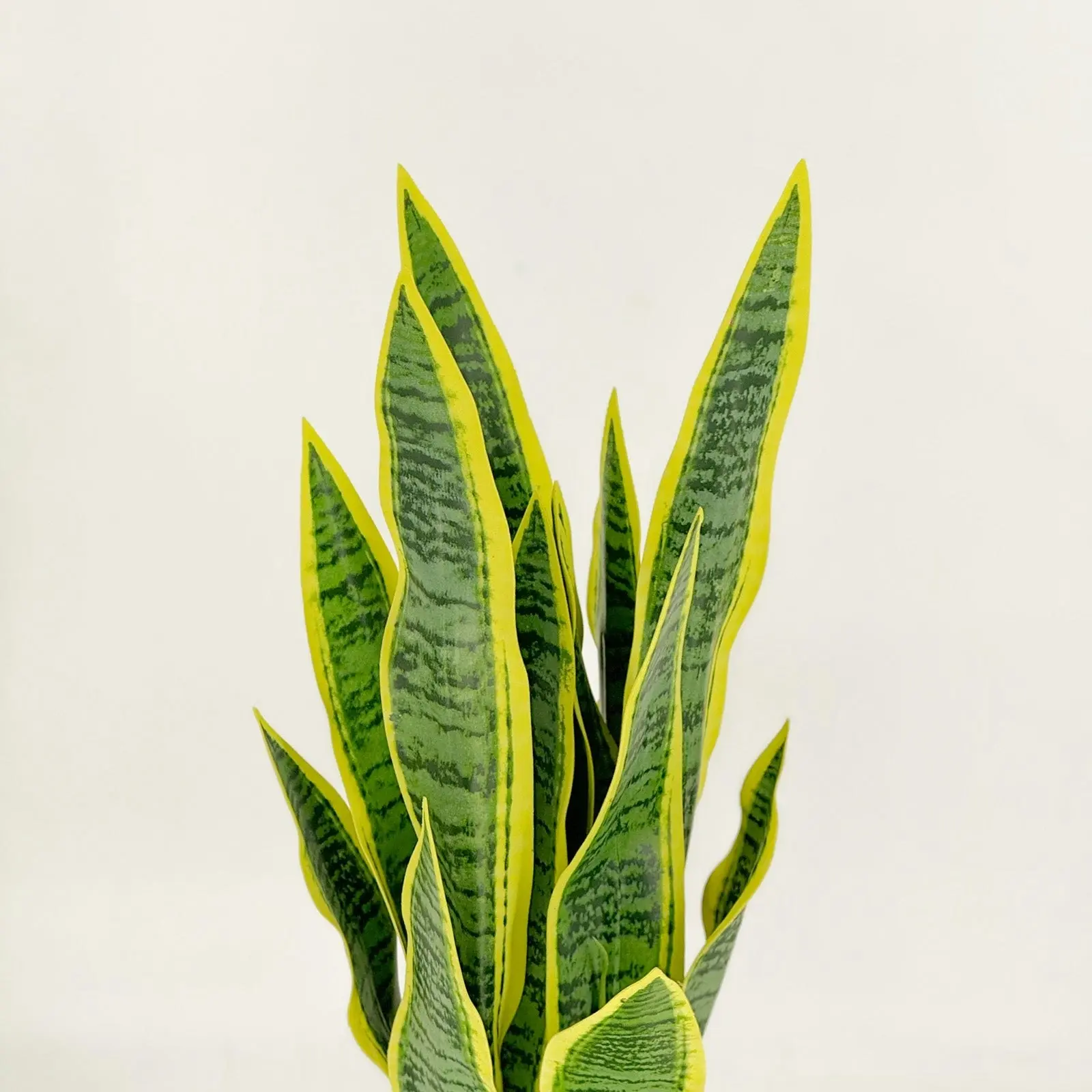 Artificial Mother in Laws Tongue Sansevieria Plant 70cm