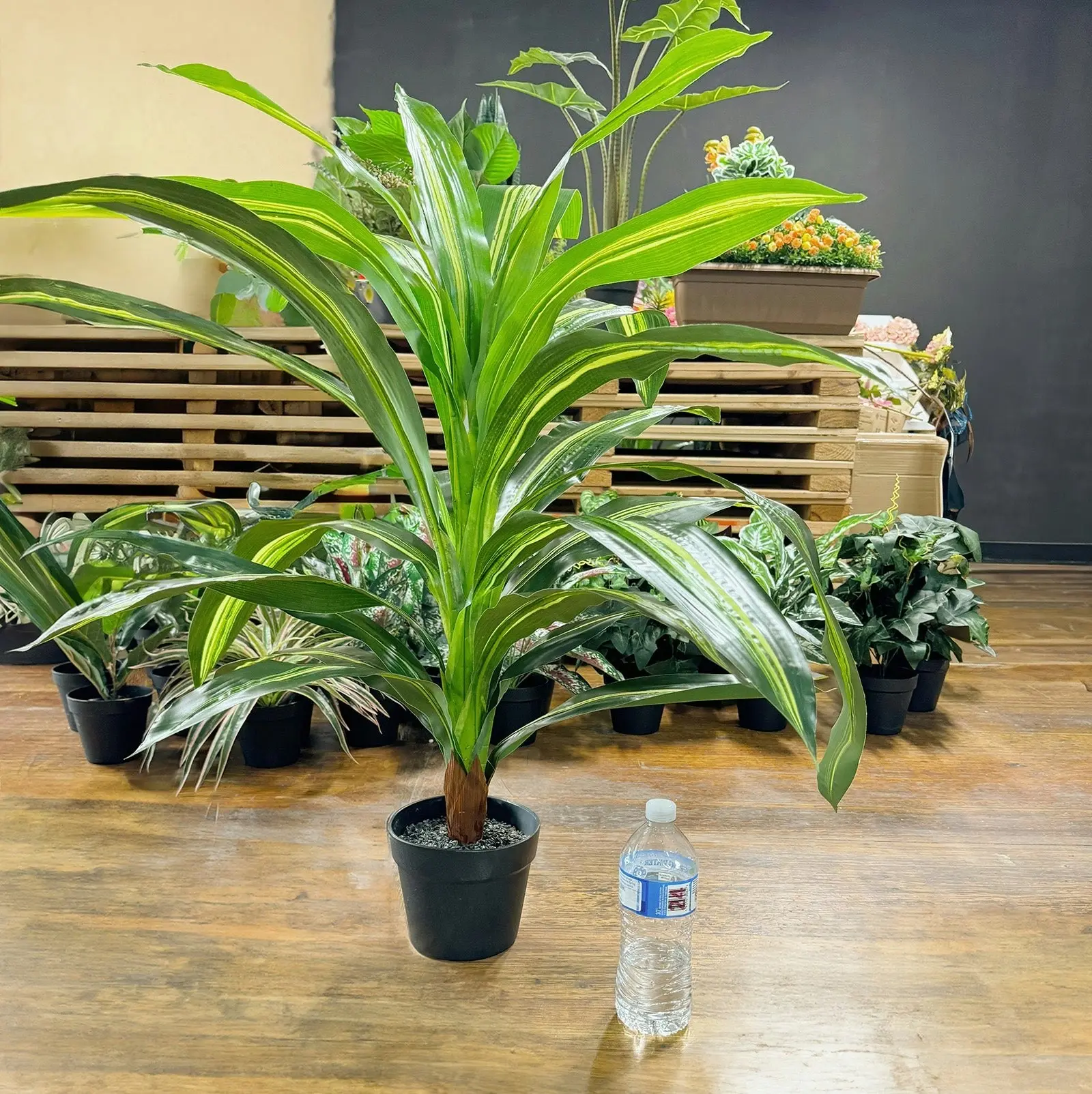 Artificial Dracaena Plant 50cm