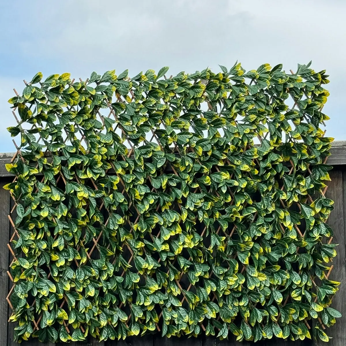 Expanding Trellis - Artificial Green Photinia leaves Outdoor 180 x 90cm