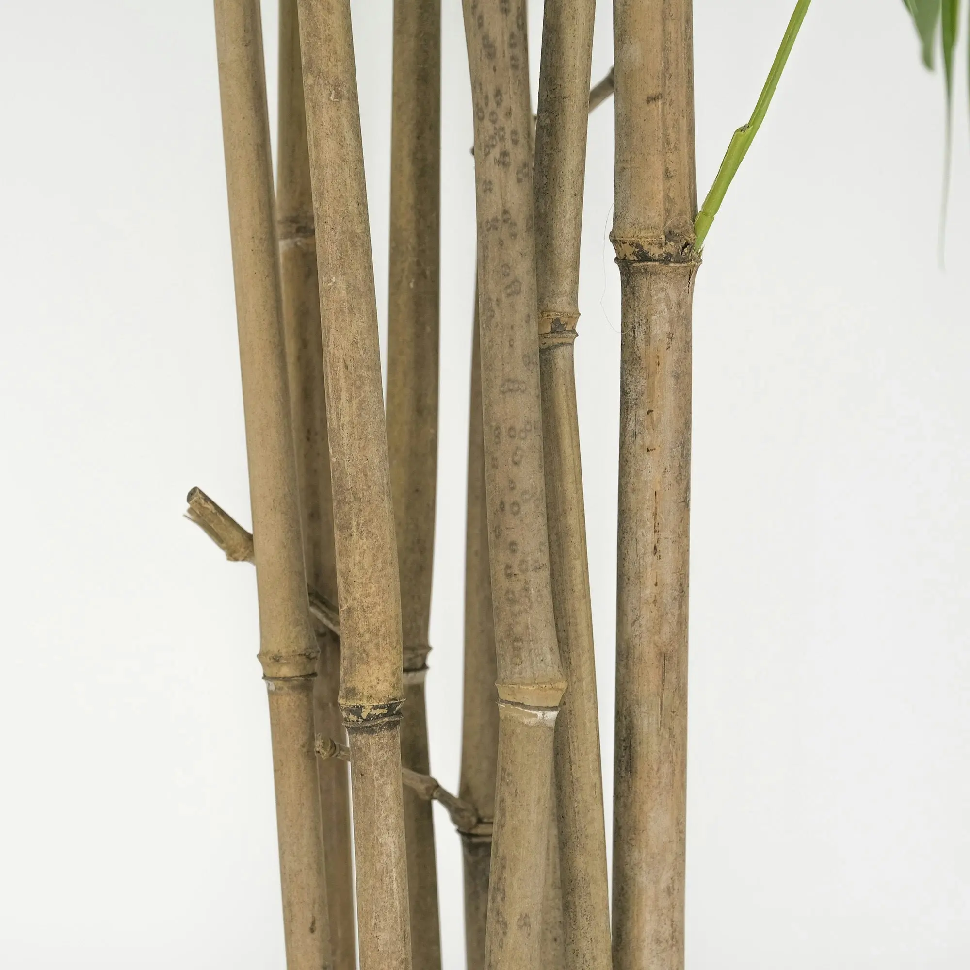 Artificial Bamboo Tree 180cm