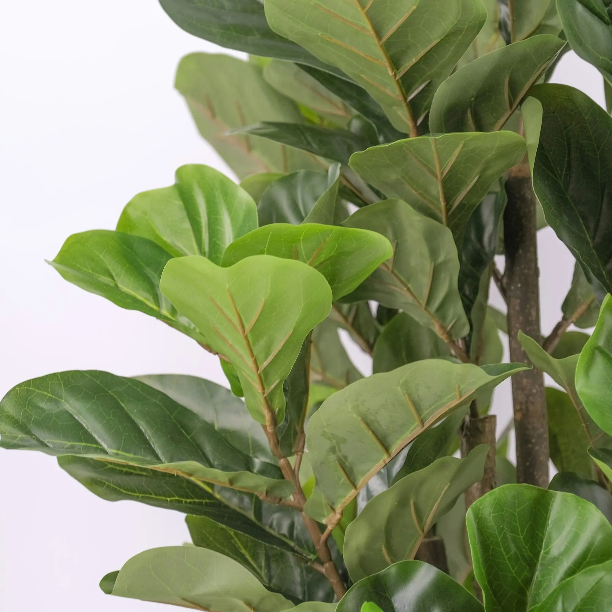 Artificial Fiddle Leaf Fig Tree 180cm