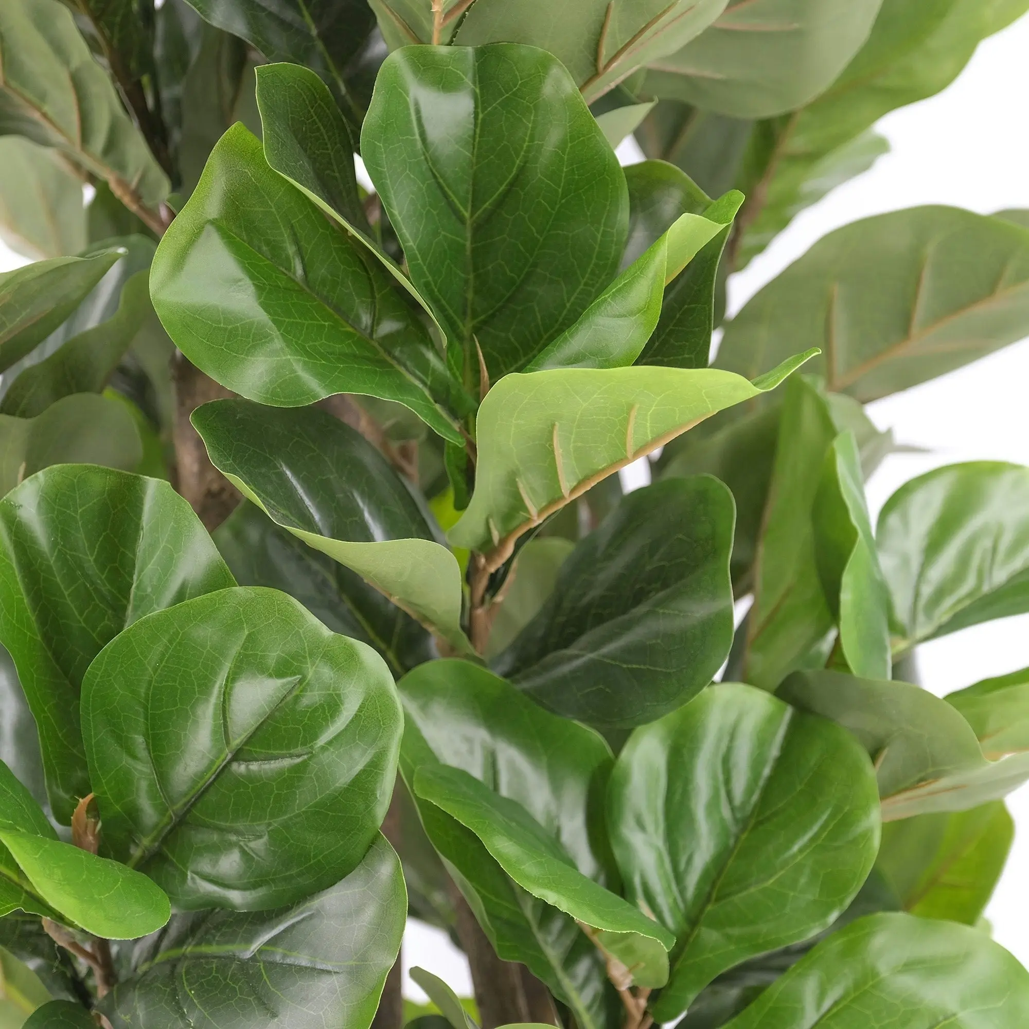 Artificial Fiddle Leaf Fig Tree 180cm