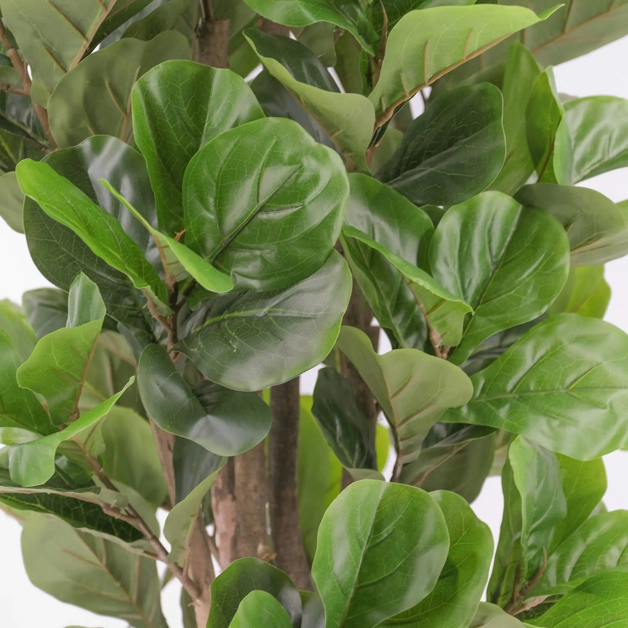 Artificial Fiddle Leaf Fig Tree 180cm