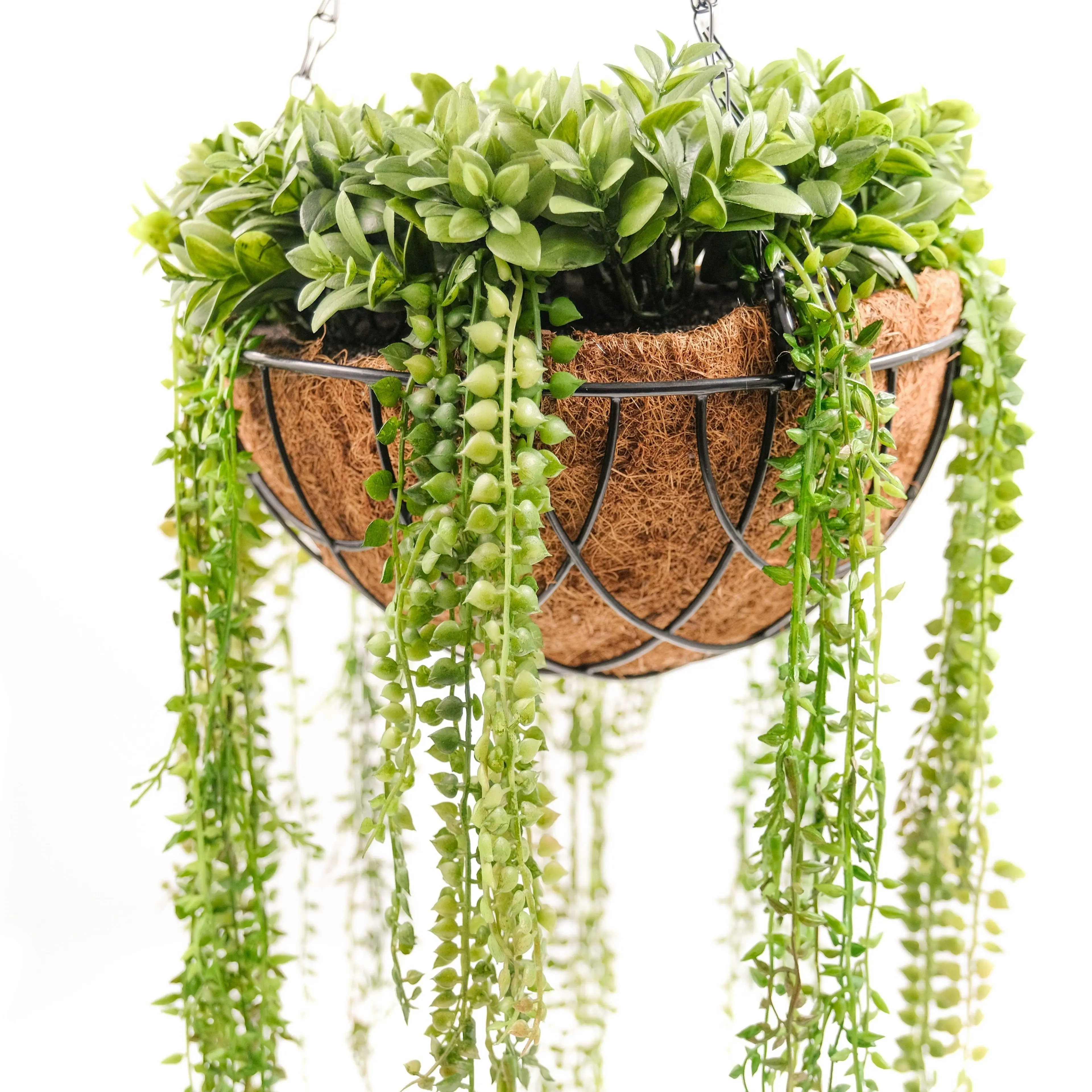 Artificial String Of Pearls with Hanging Basket 50cm