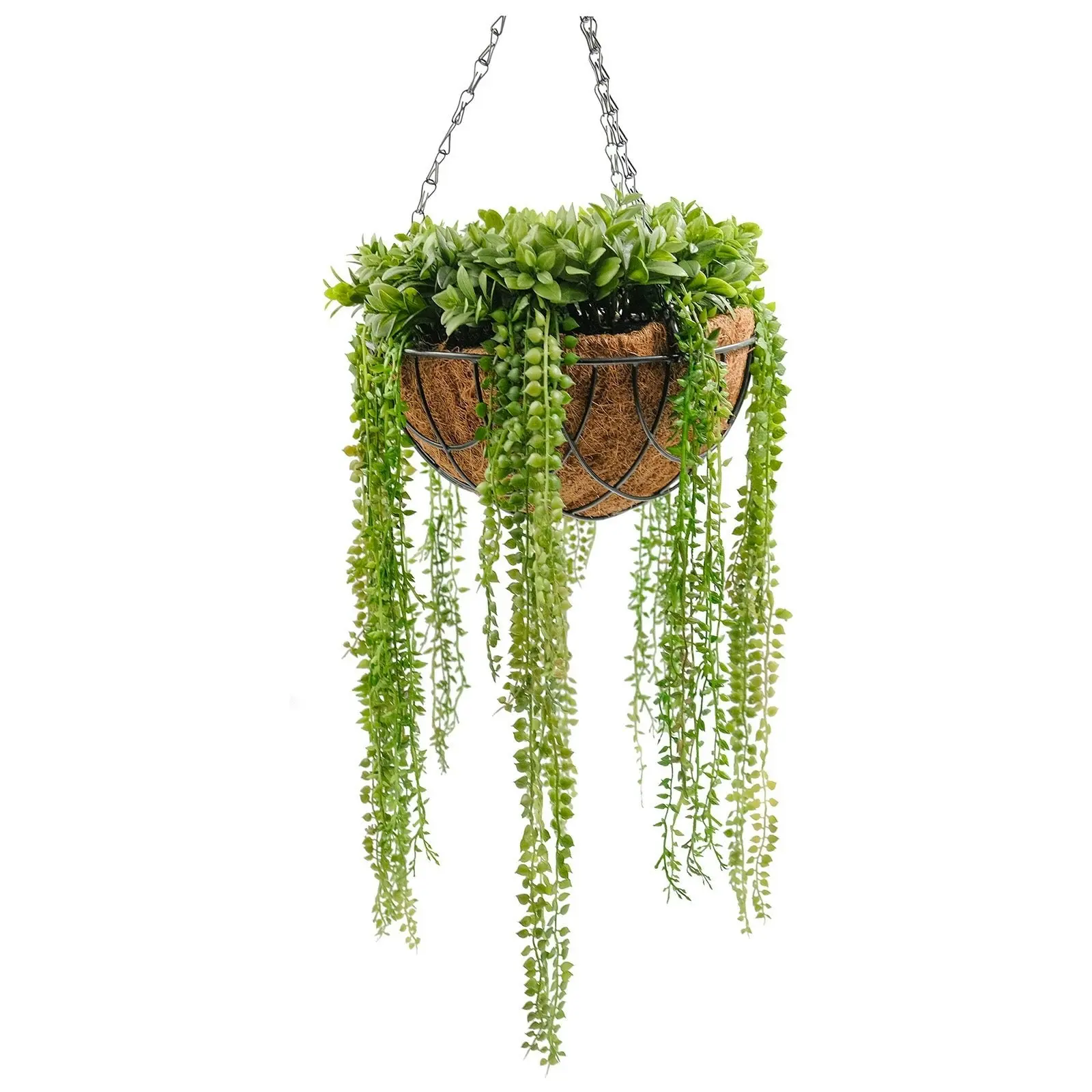 Artificial String Of Pearls with Hanging Basket 50cm