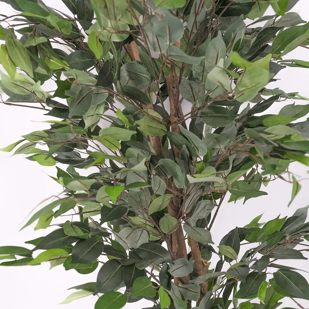 Artificial Ficus Tree 180cm