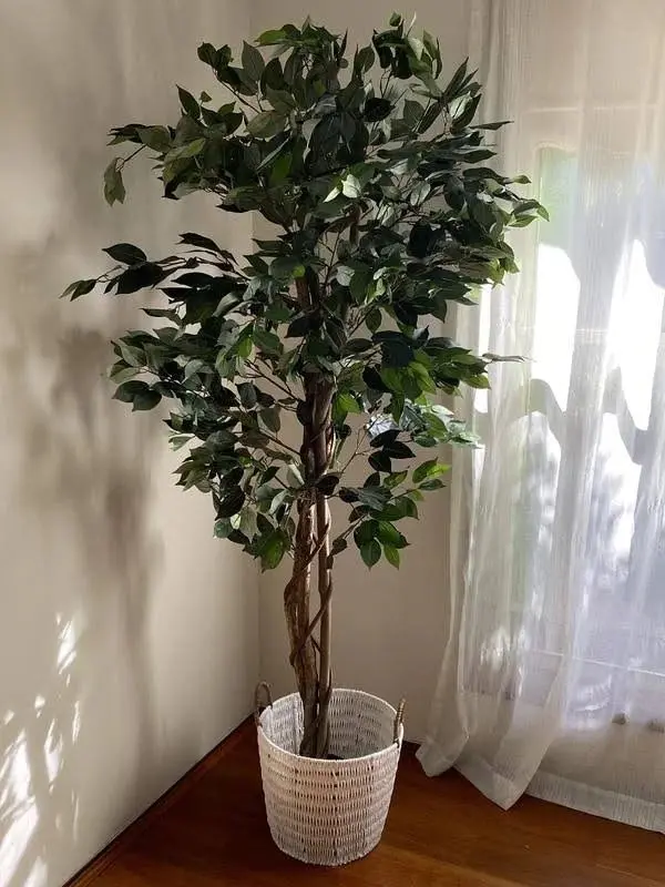 Artificial Ficus Tree 180cm