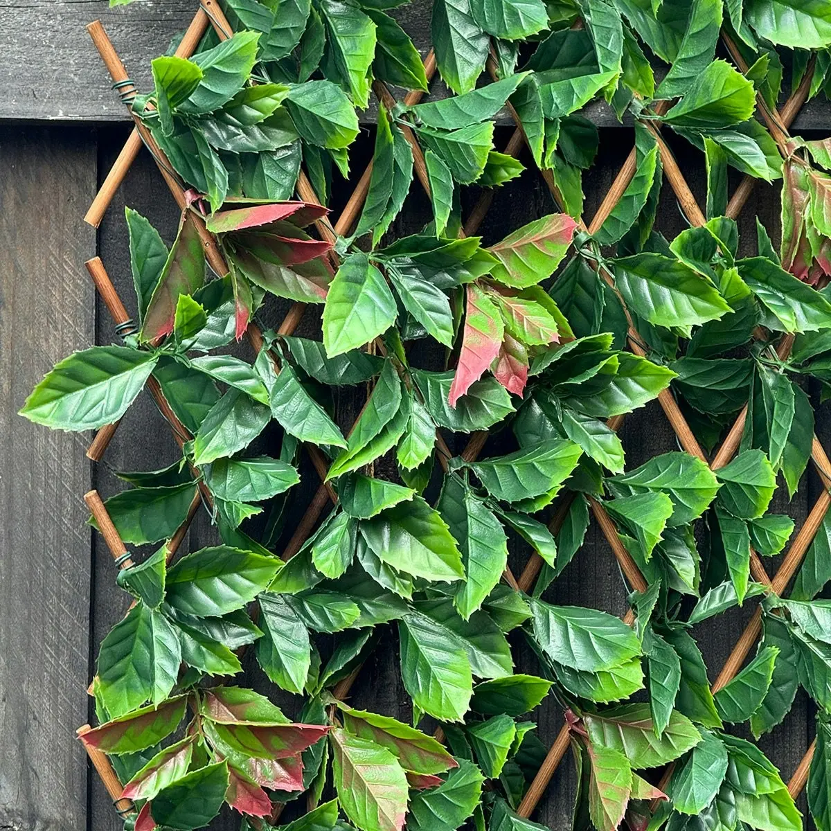 Expanding Trellis - Artificial Red Photinia leaves Outdoor 180 x 90cm