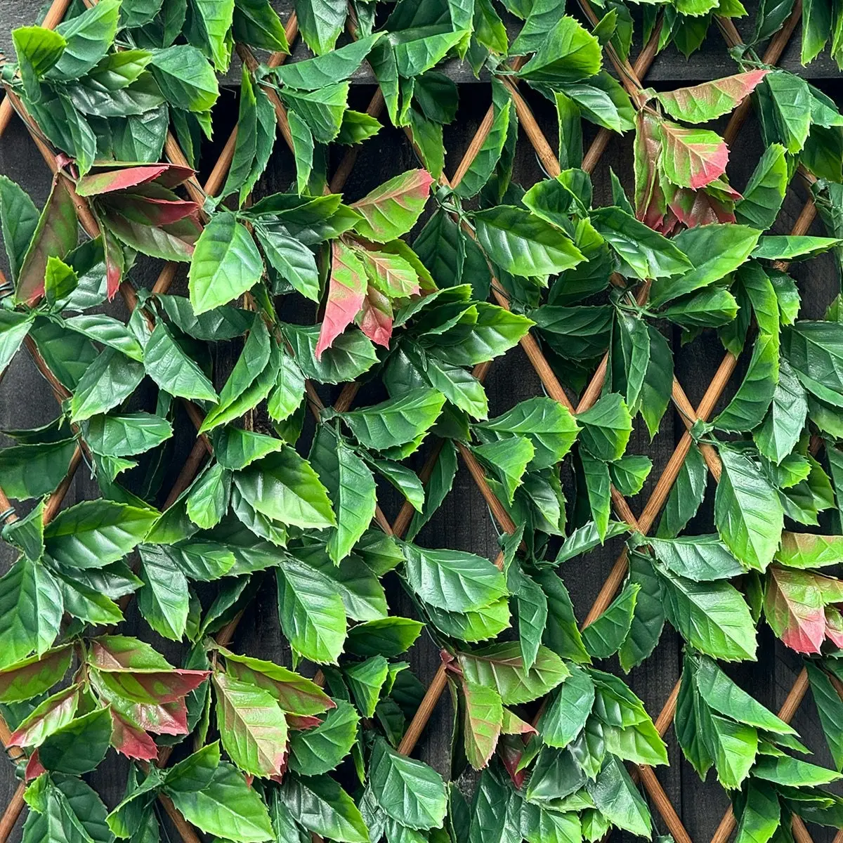 Expanding Trellis - Artificial Red Photinia leaves Outdoor 180 x 90cm