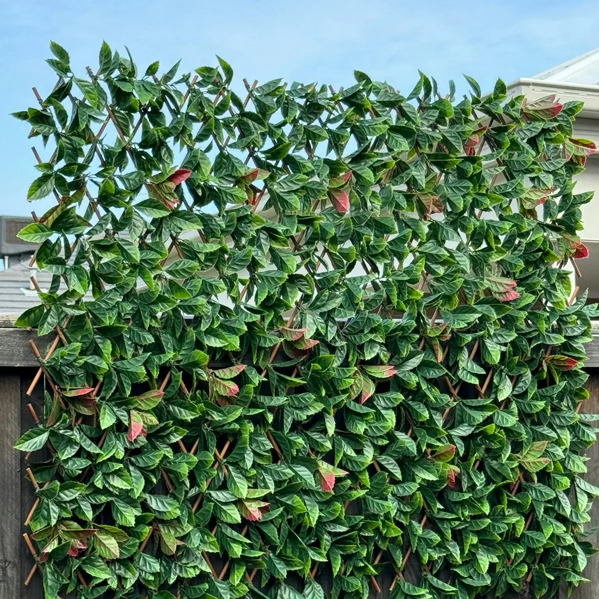 Expanding Trellis - Artificial Red Photinia leaves Outdoor 180 x 90cm