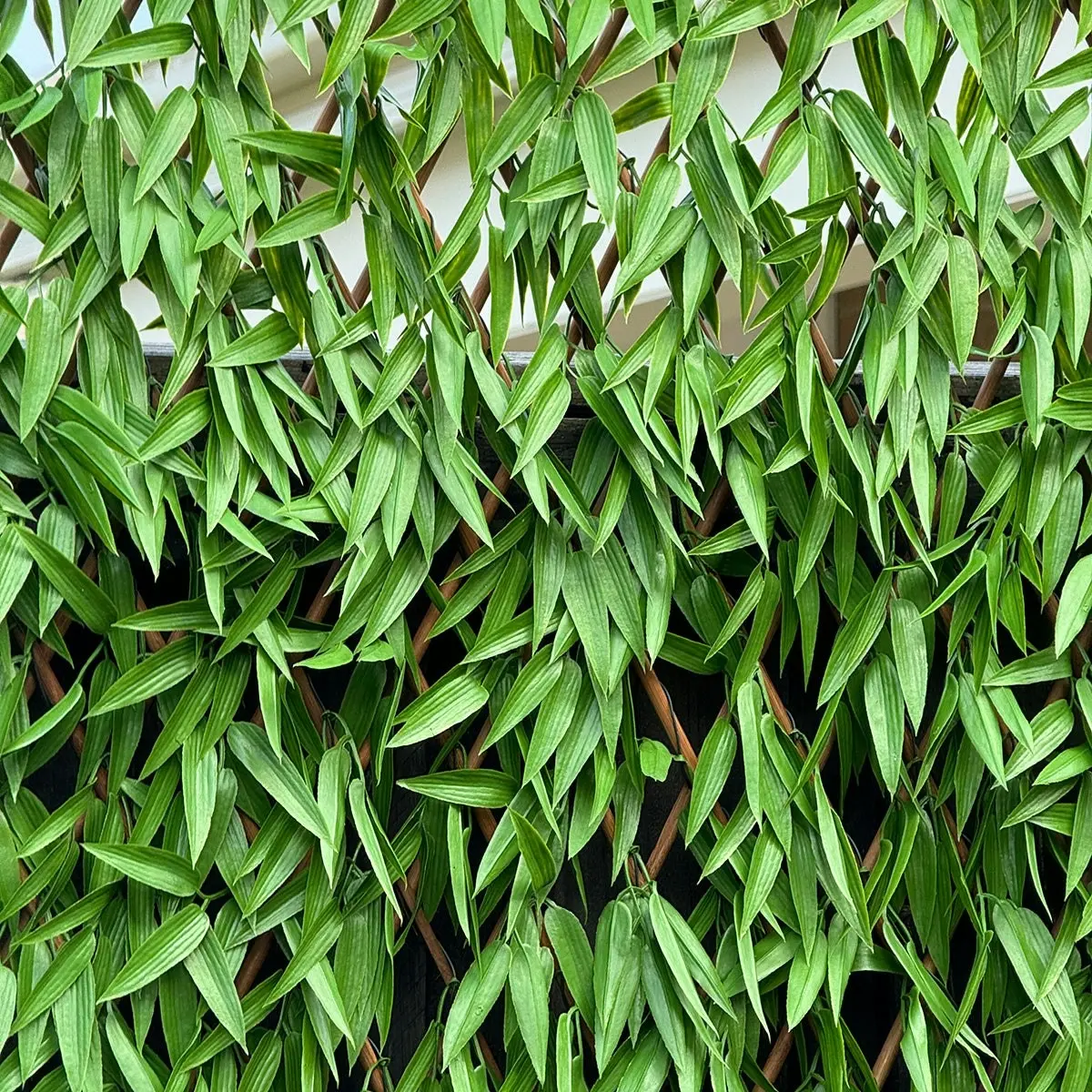 Expanding Trellis - Artificial Bamboo leaves Outdoor 180 x 90cm