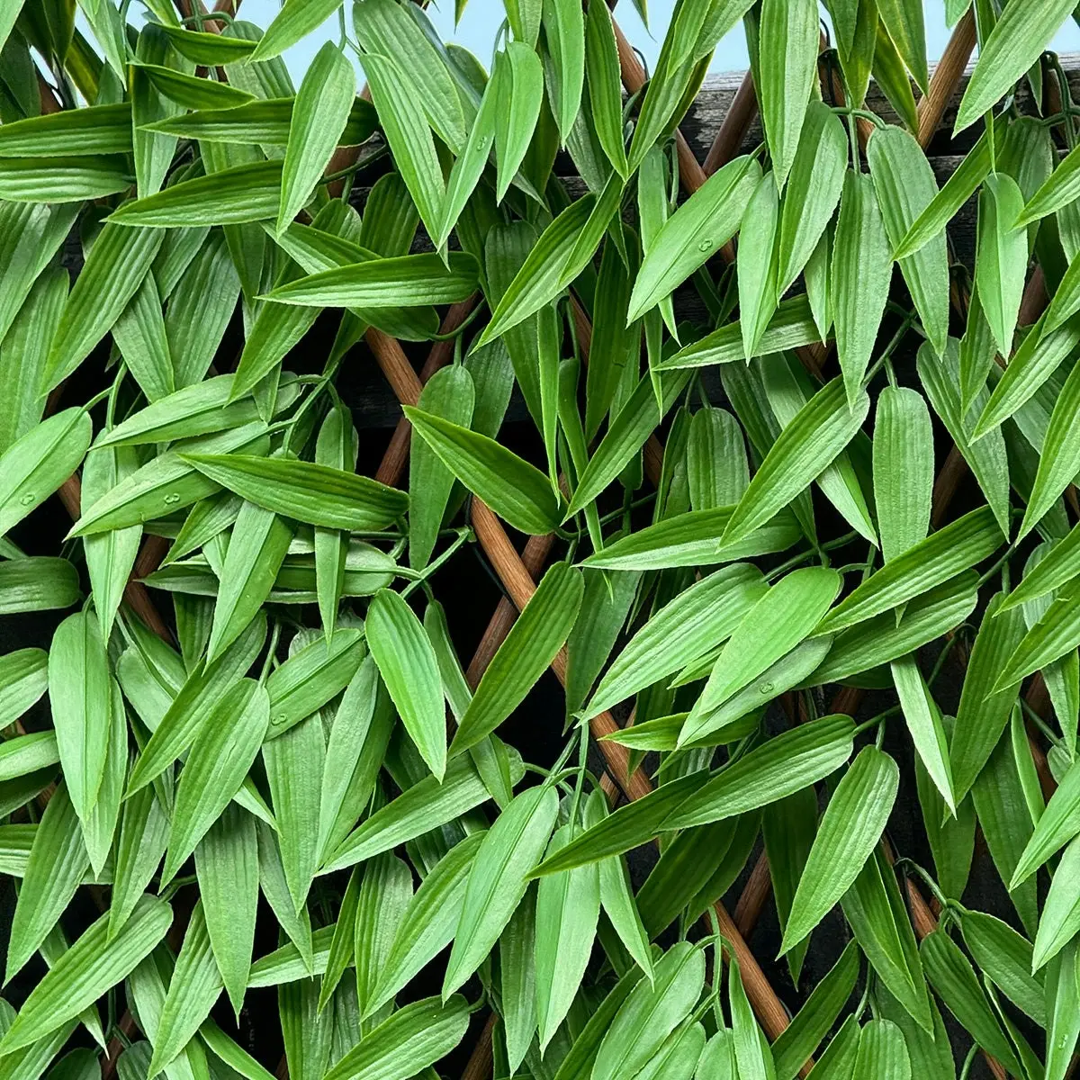 Expanding Trellis - Artificial Bamboo leaves Outdoor 180 x 90cm