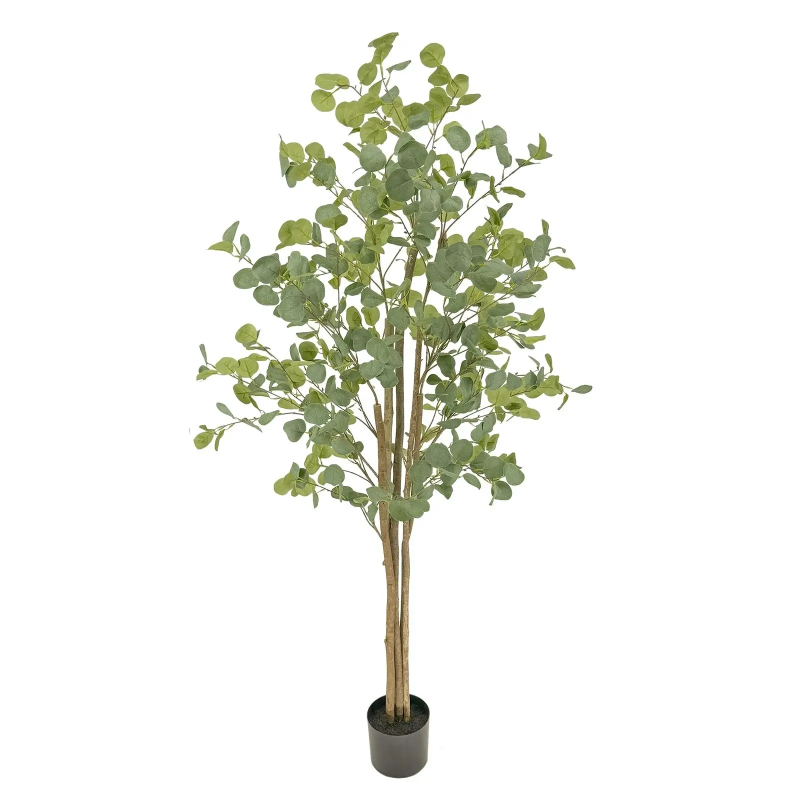 Artificial Eucalyptus Tree 180cm