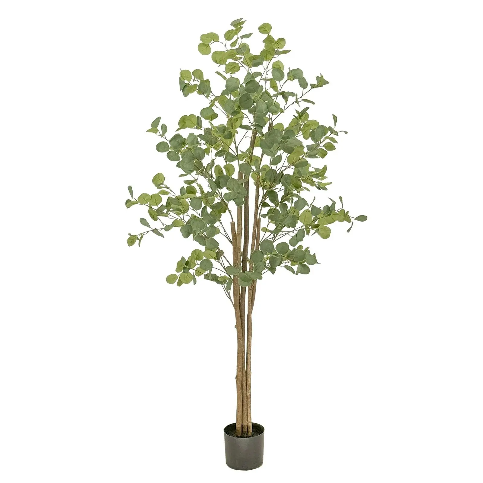 Artificial Eucalyptus Tree 180cm