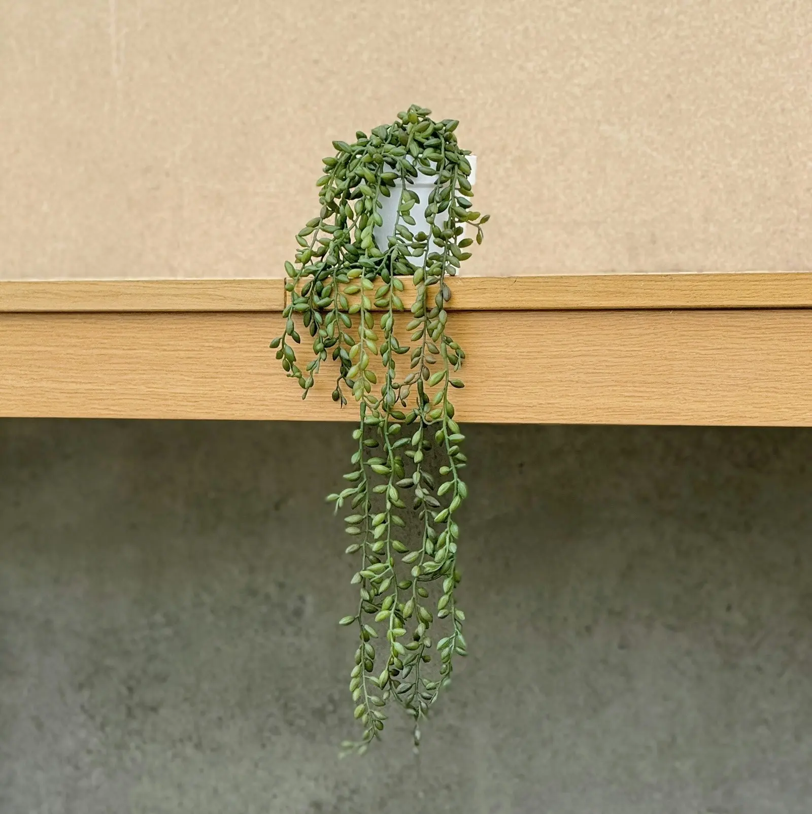 Artificial String of Pearls Trailing Plant 55cm