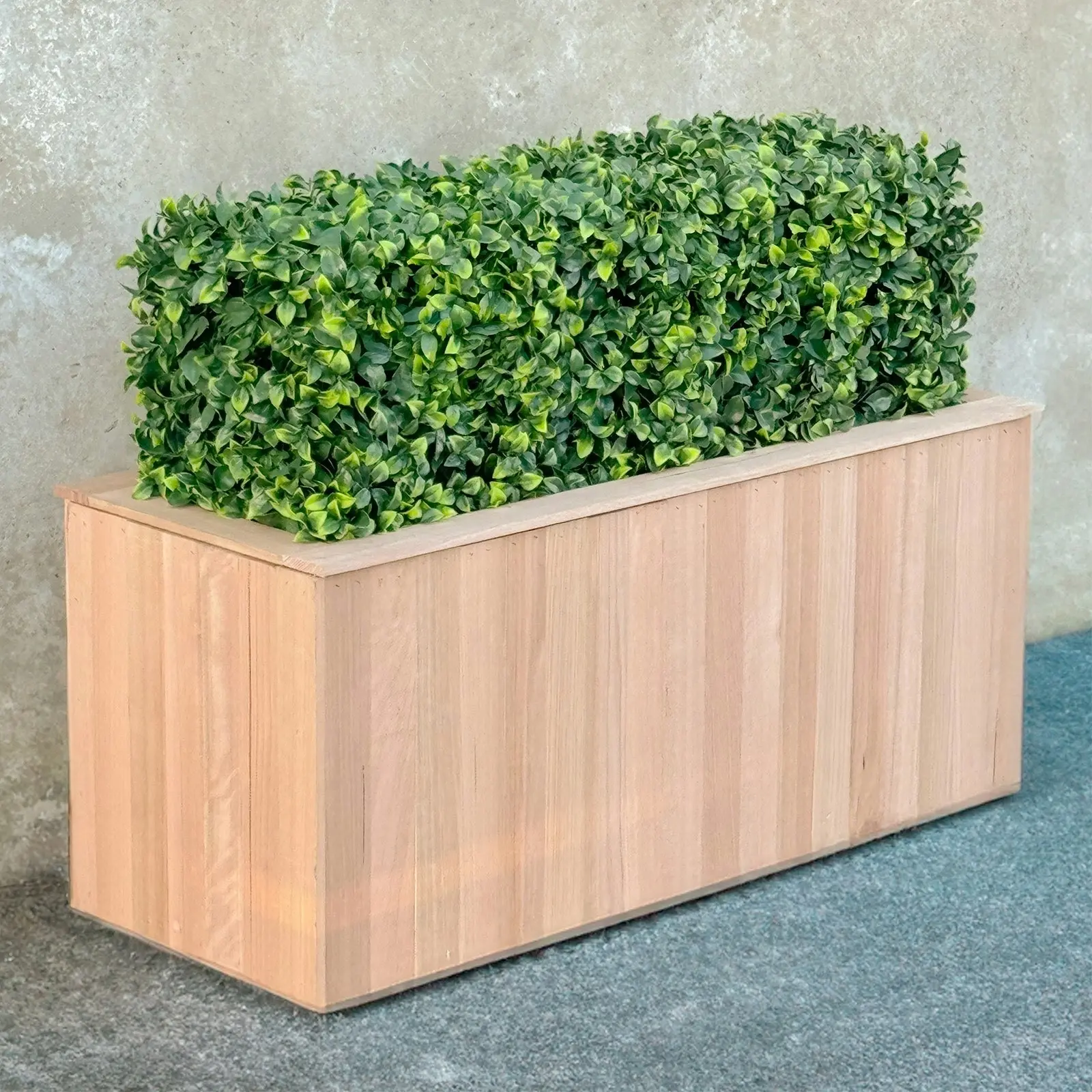 Freestanding Artificial Hedge - Pittosporum 100x50cm