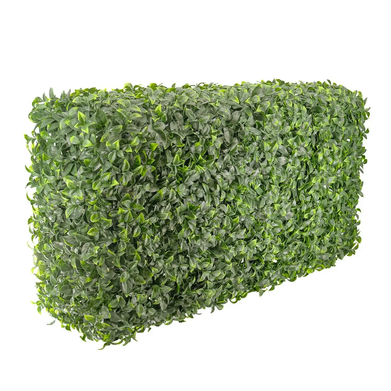 Freestanding Artificial Hedge - Pittosporum 100x50cm