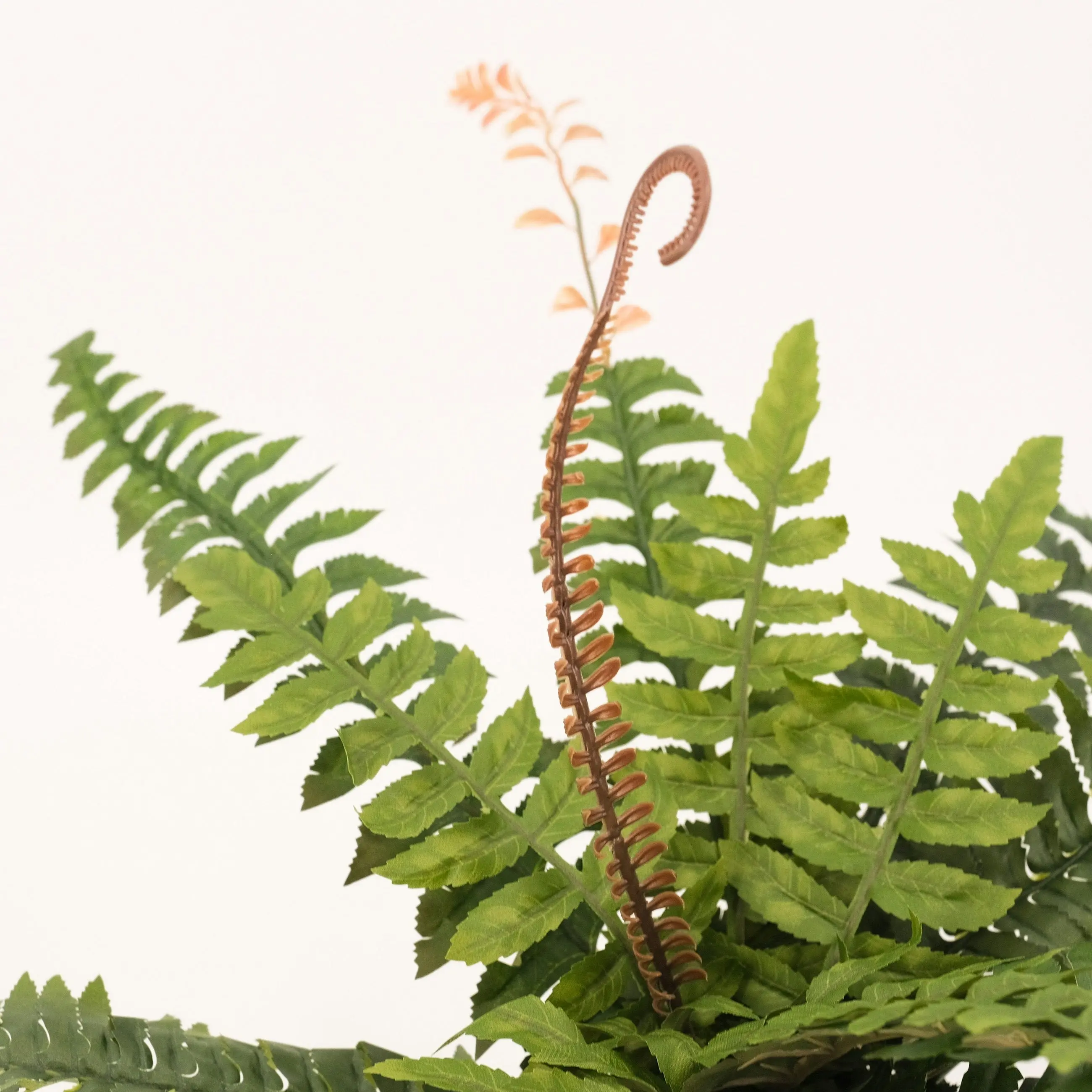 Artificial Boston Fern Plant 50cm