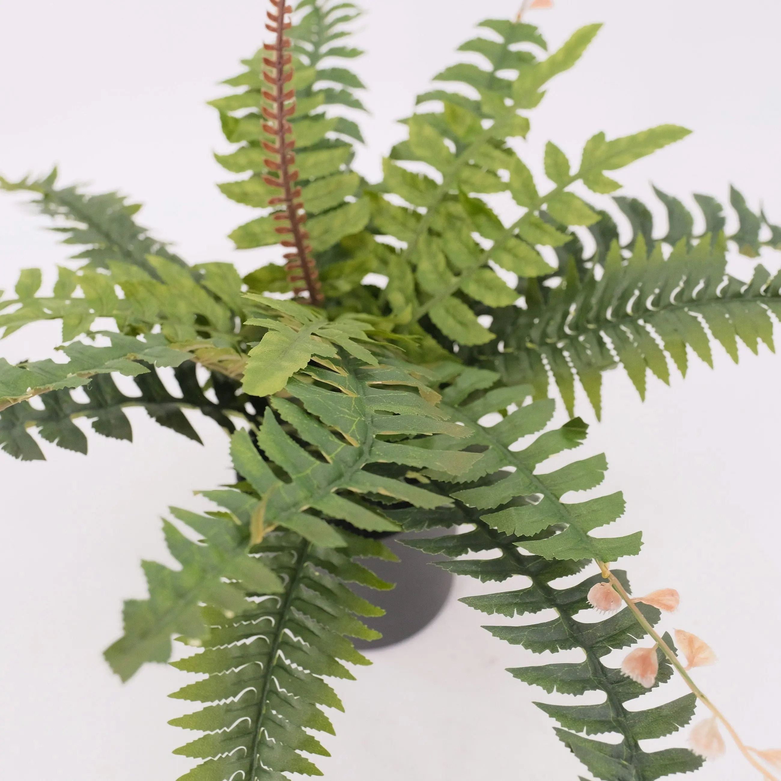 Artificial Boston Fern Plant 50cm