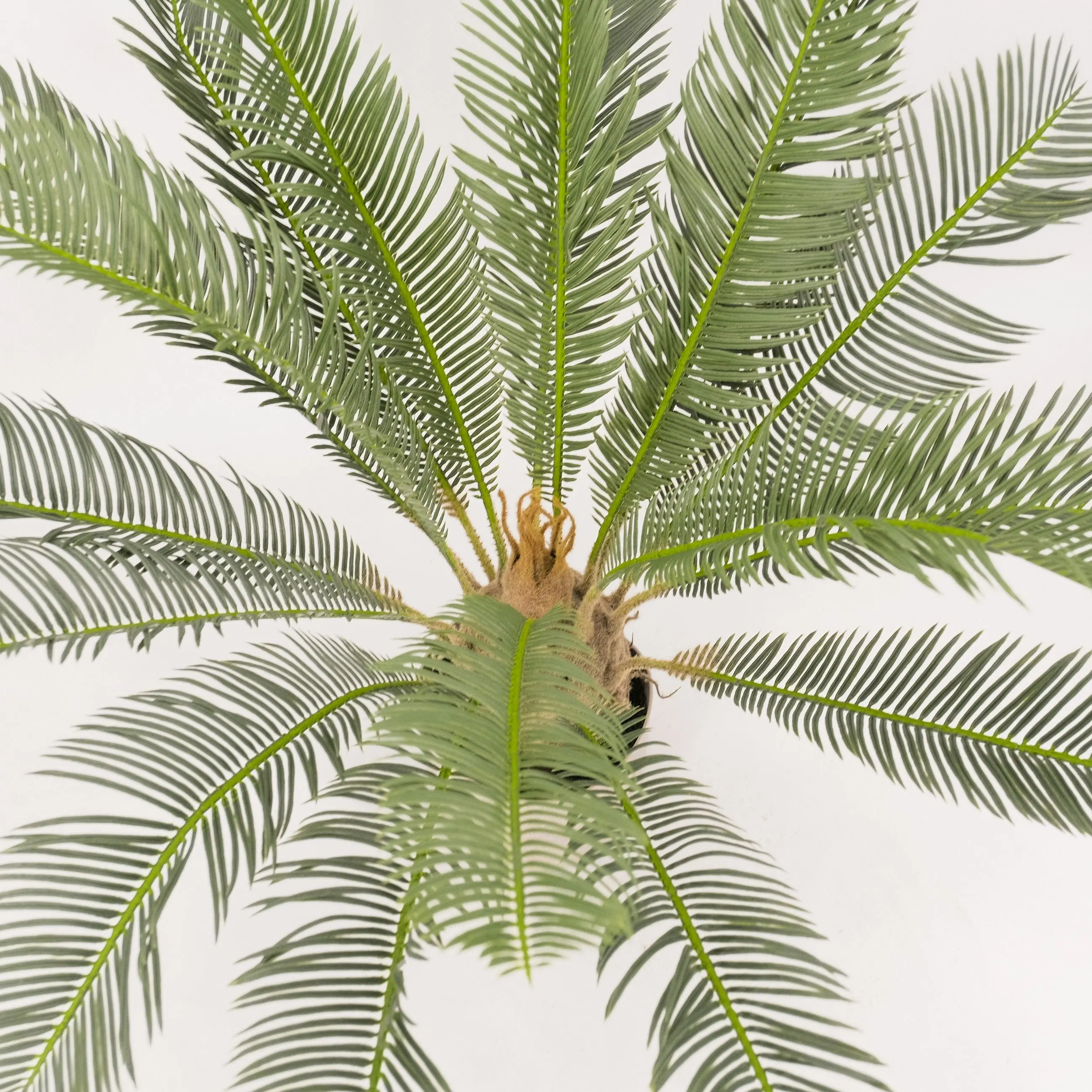 Artificial Cycad Palm Plant - 60cm