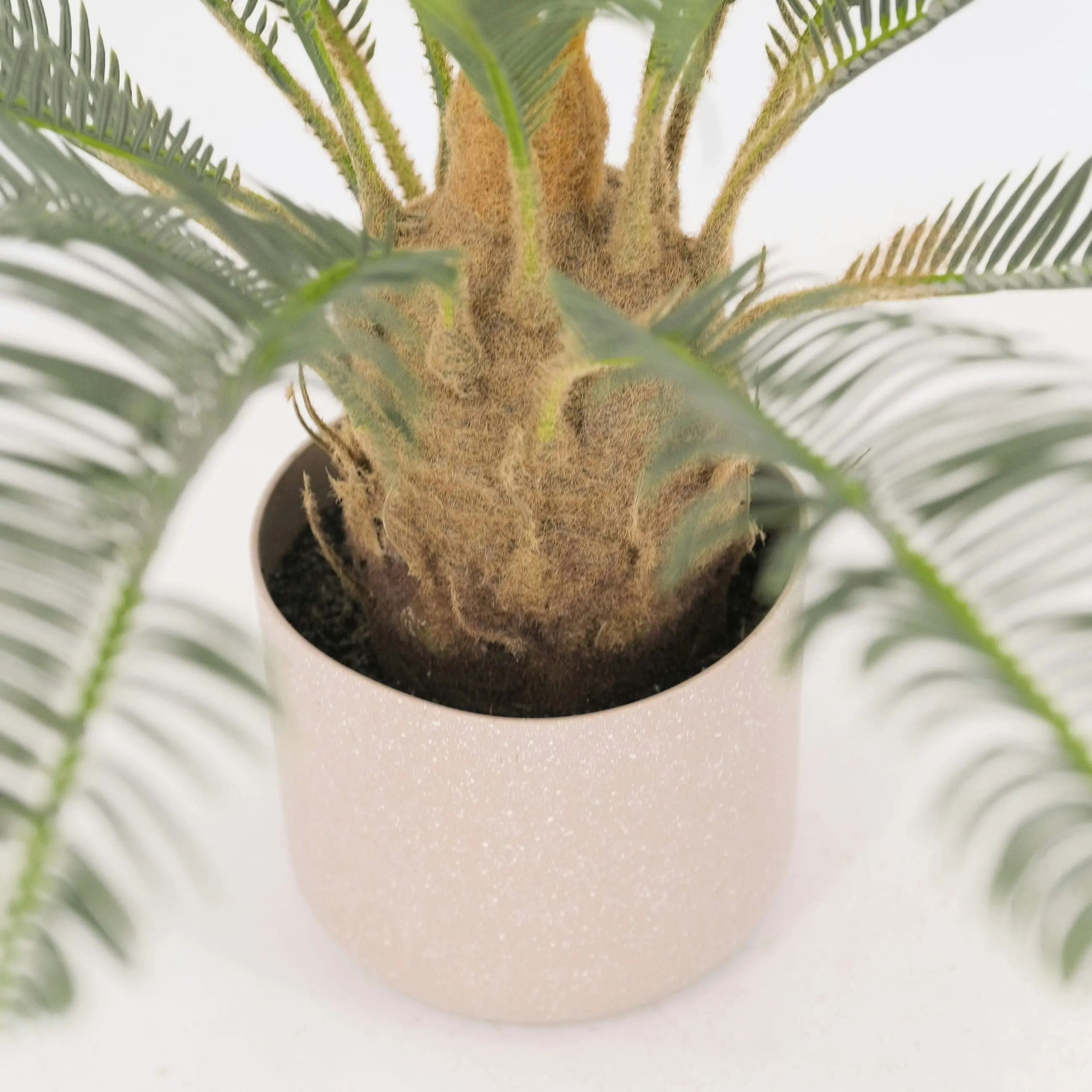 Artificial Cycad Palm Plant - 60cm