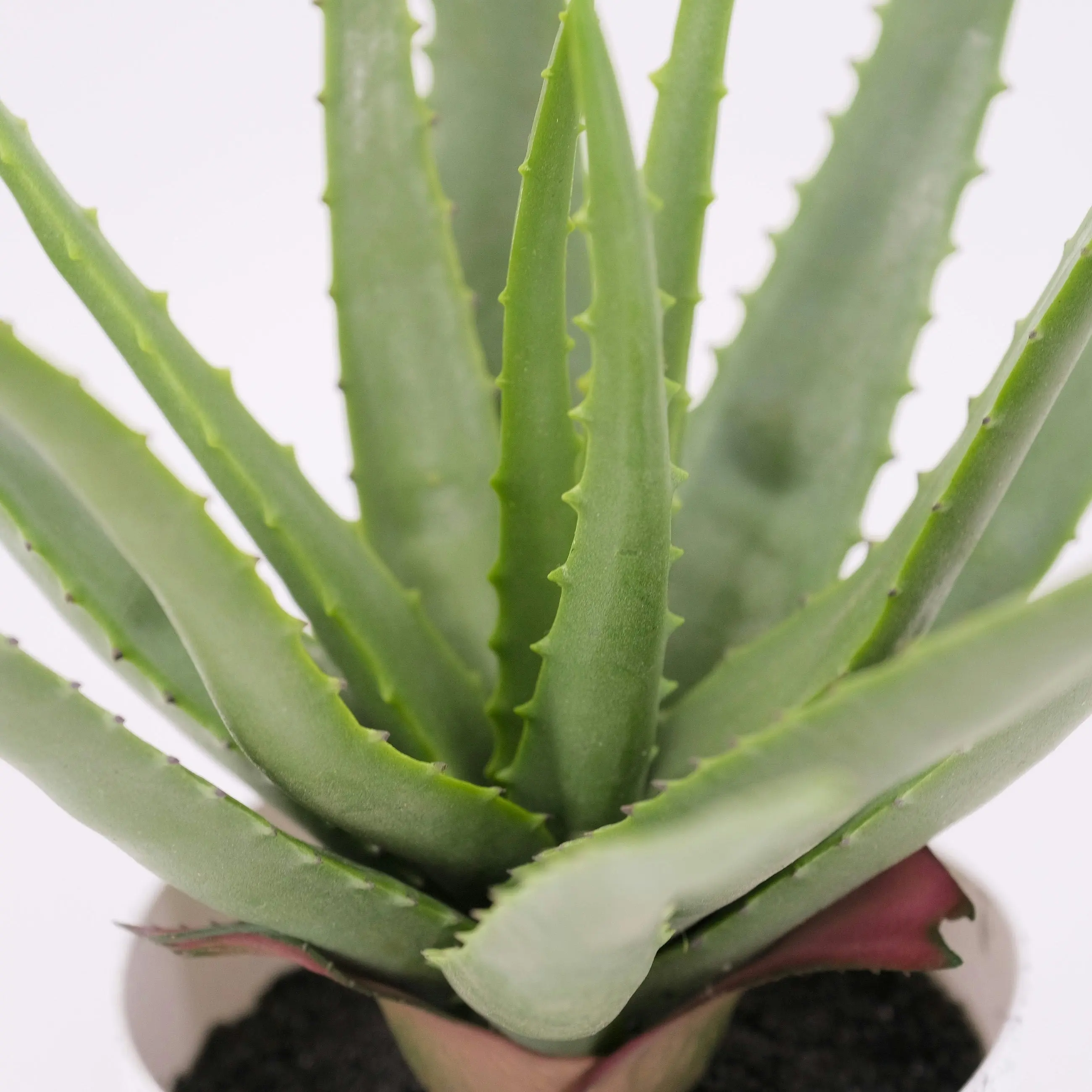 Artificial Aloe Plant - 45cm