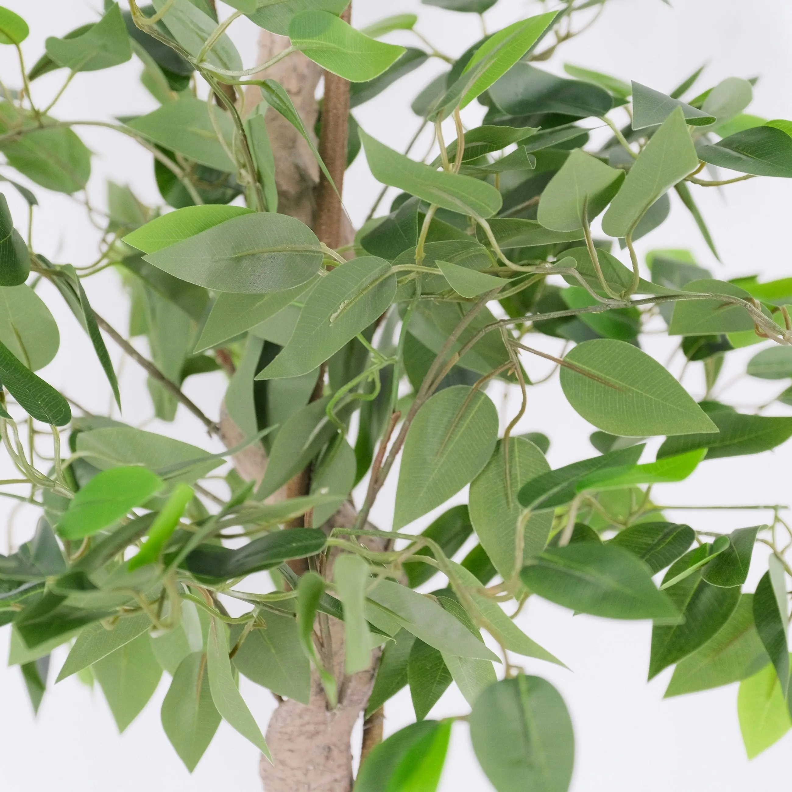 Artificial Ficus Tree with Twisted Trunk 180cm