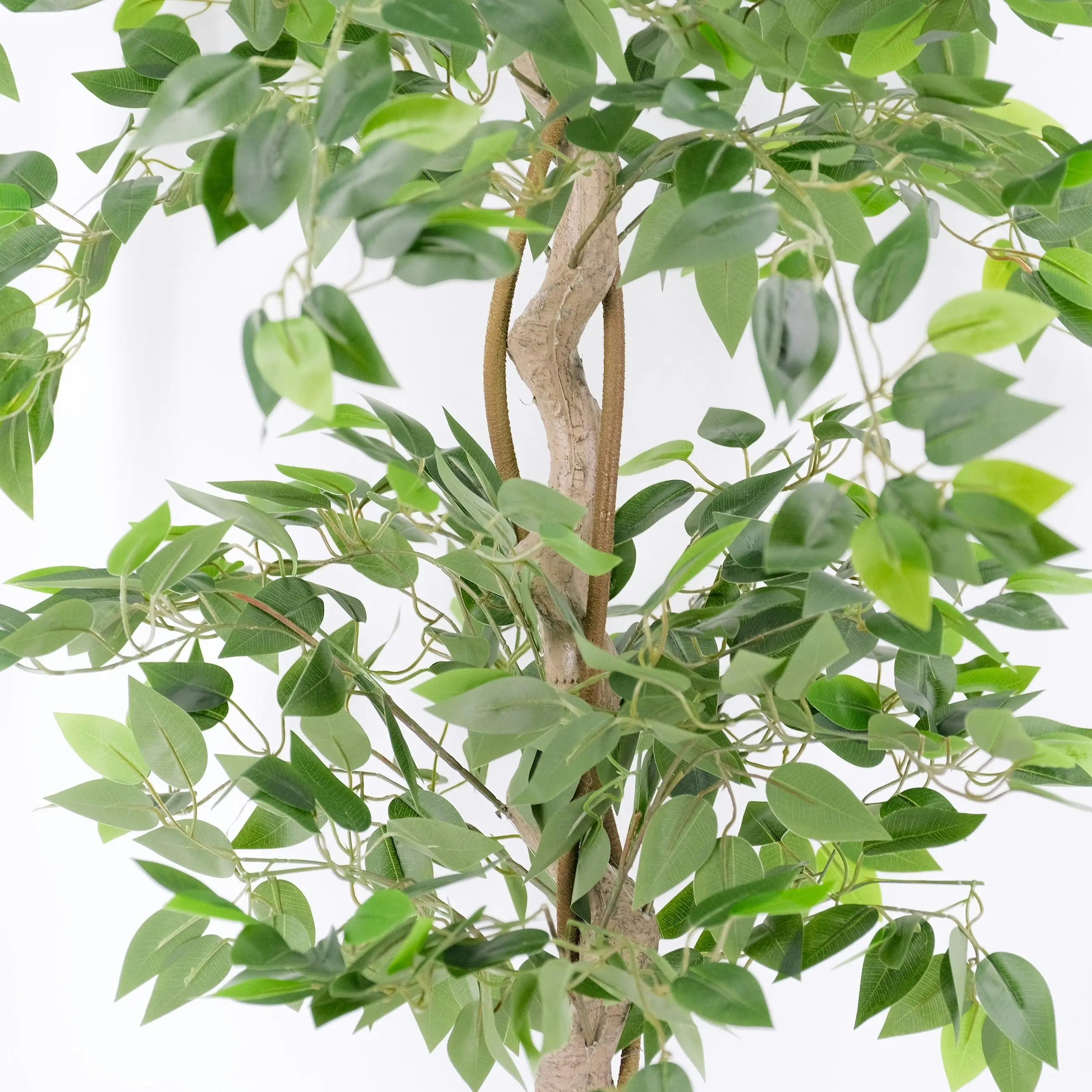 Artificial Ficus Tree with Twisted Trunk 180cm