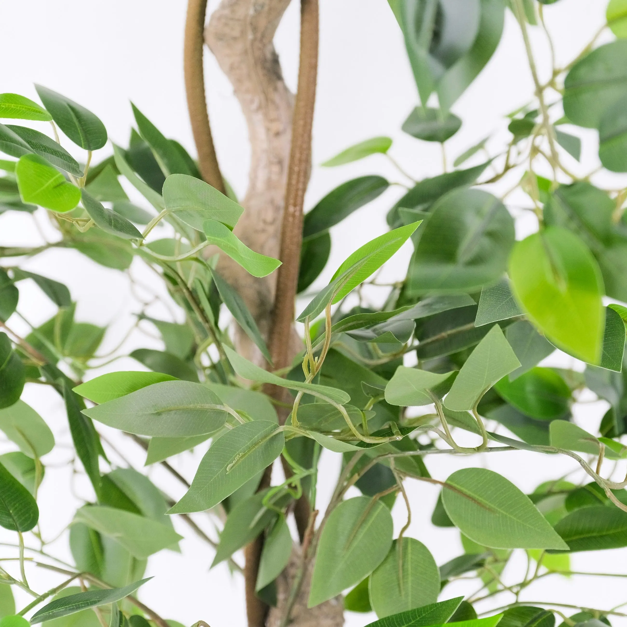 Artificial Ficus Tree with Twisted Trunk 180cm