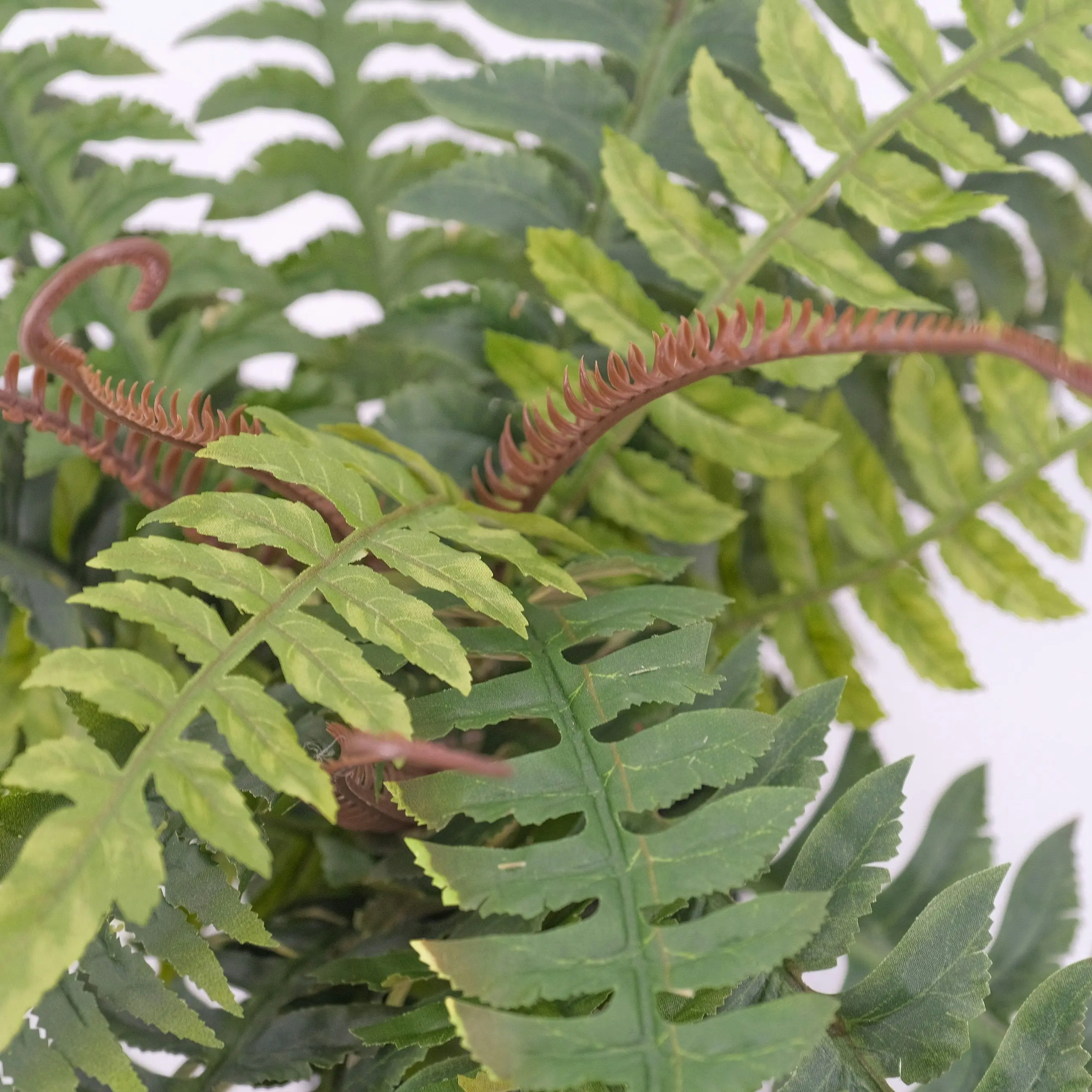 Artificial Boston Fern Plant 60cm