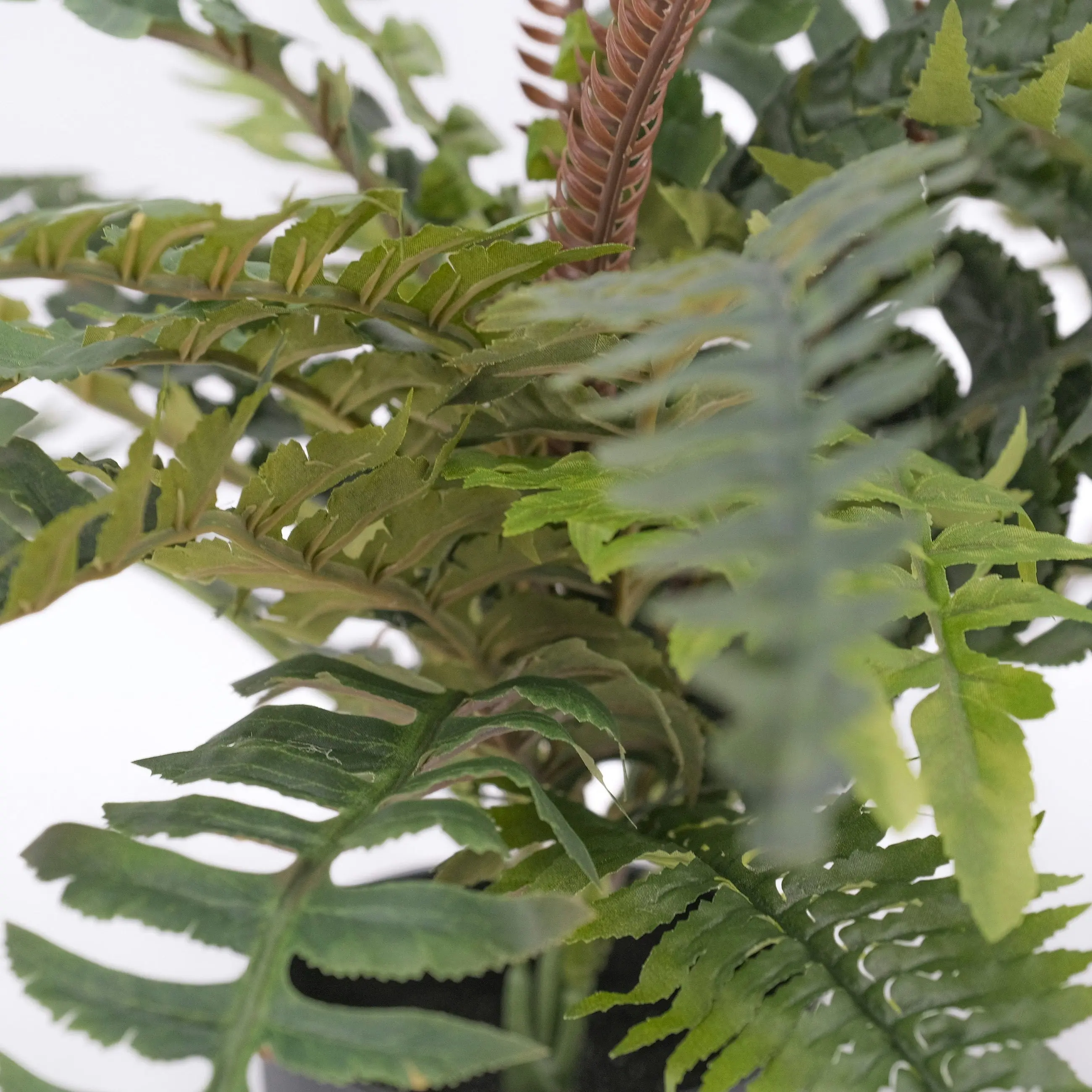 Artificial Boston Fern Plant 60cm