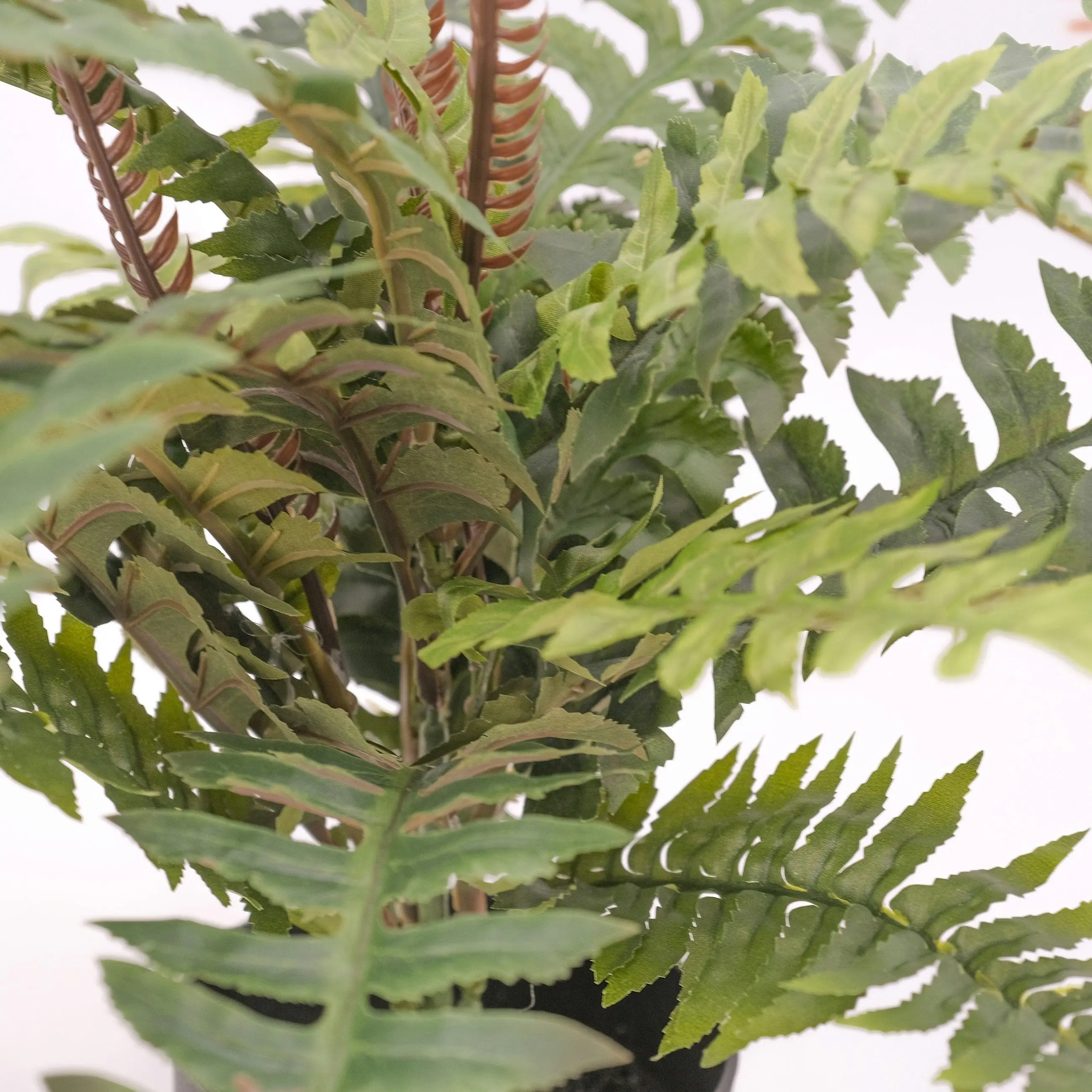 Artificial Boston Fern Plant 60cm