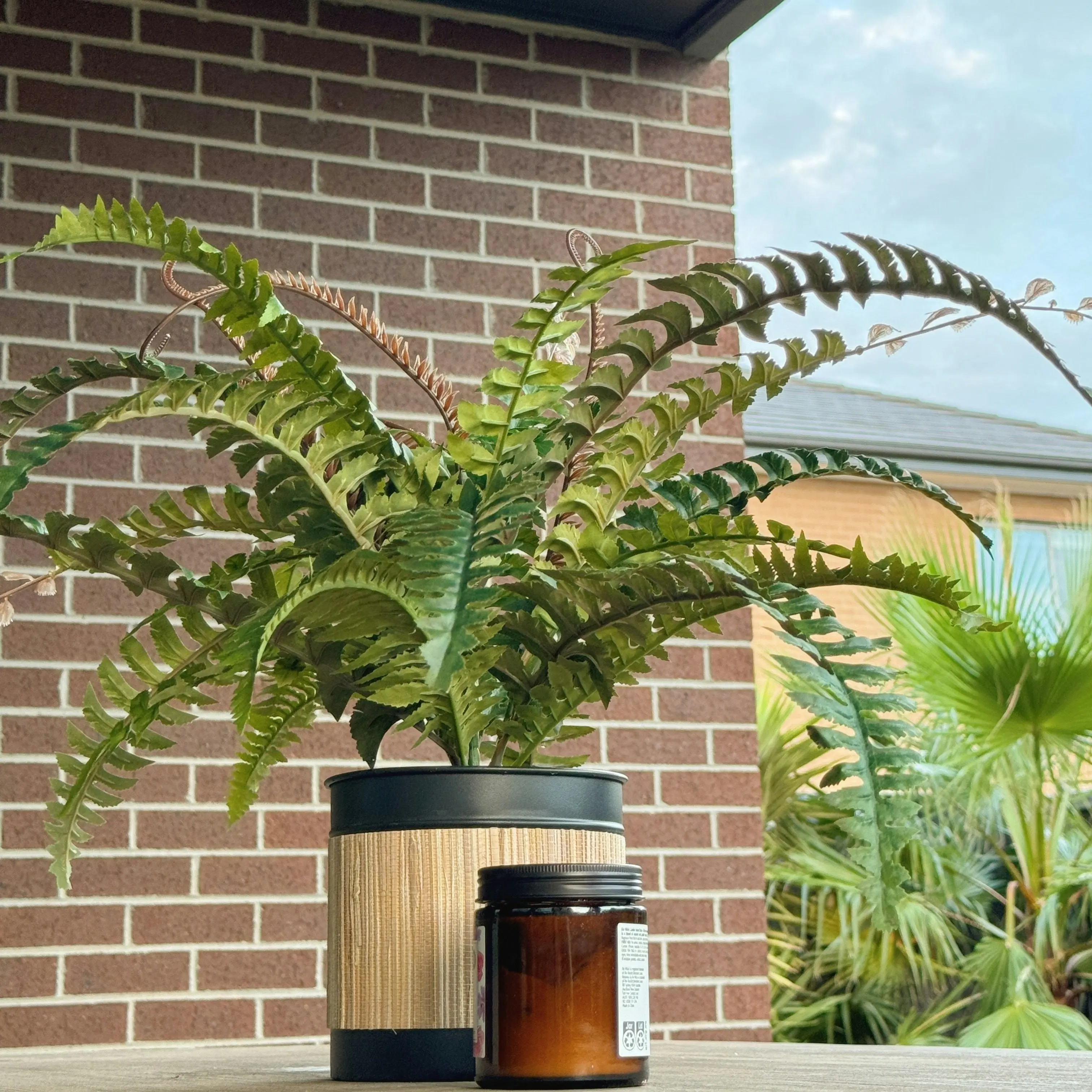 Artificial Boston Fern Plant 60cm