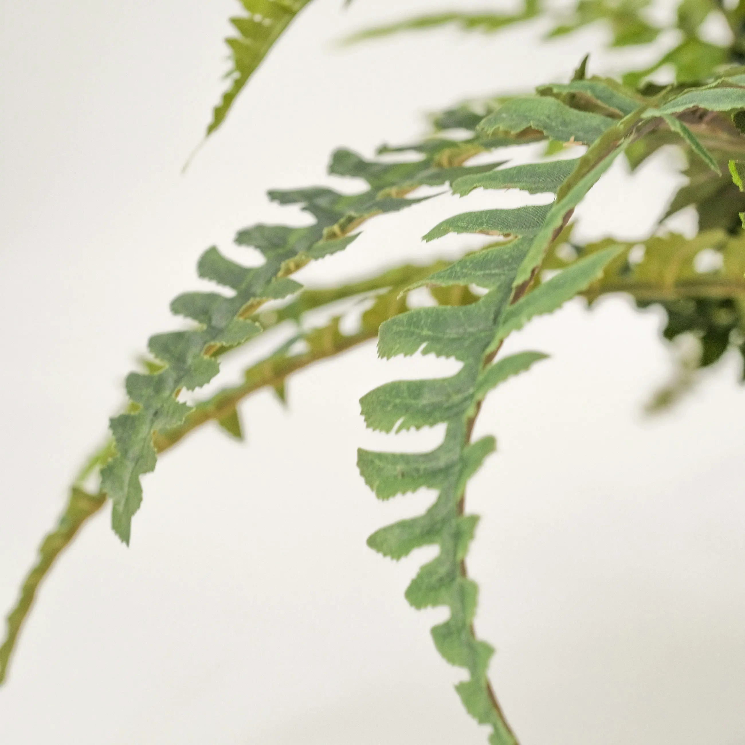 Artificial Boston Fern Plant 60cm