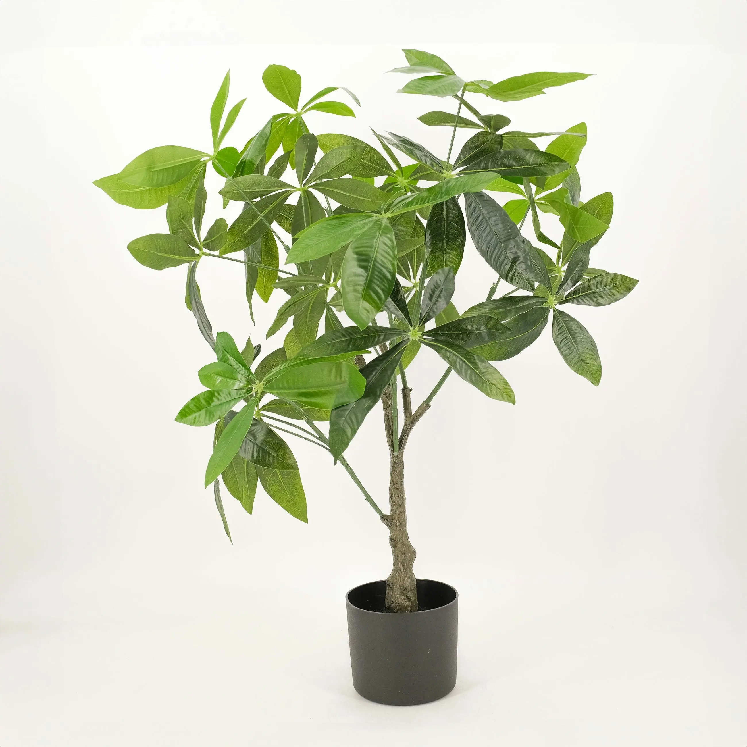 Artificial Fortune (Money) Tree Plant 75cm