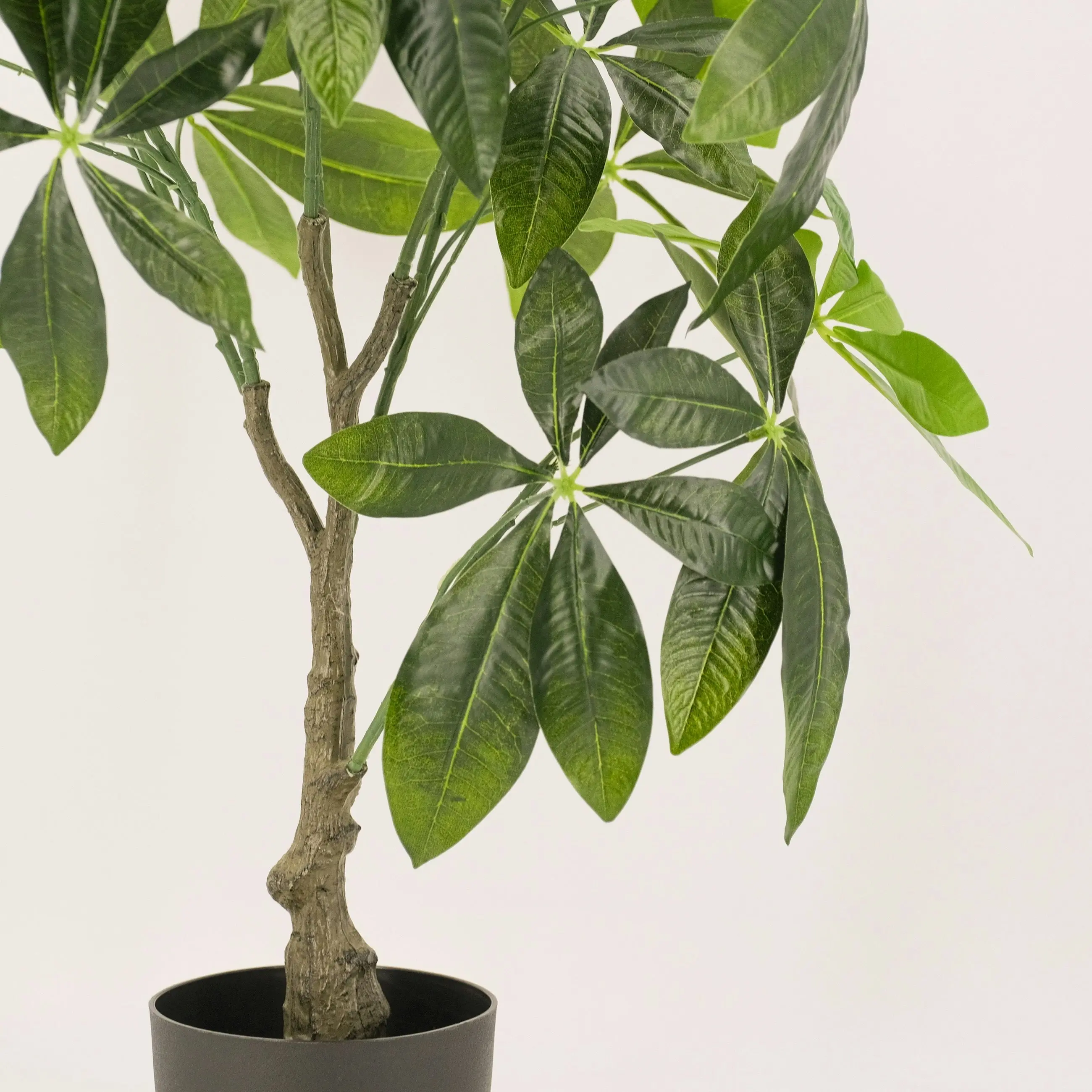 Artificial Fortune (Money) Tree Plant 75cm