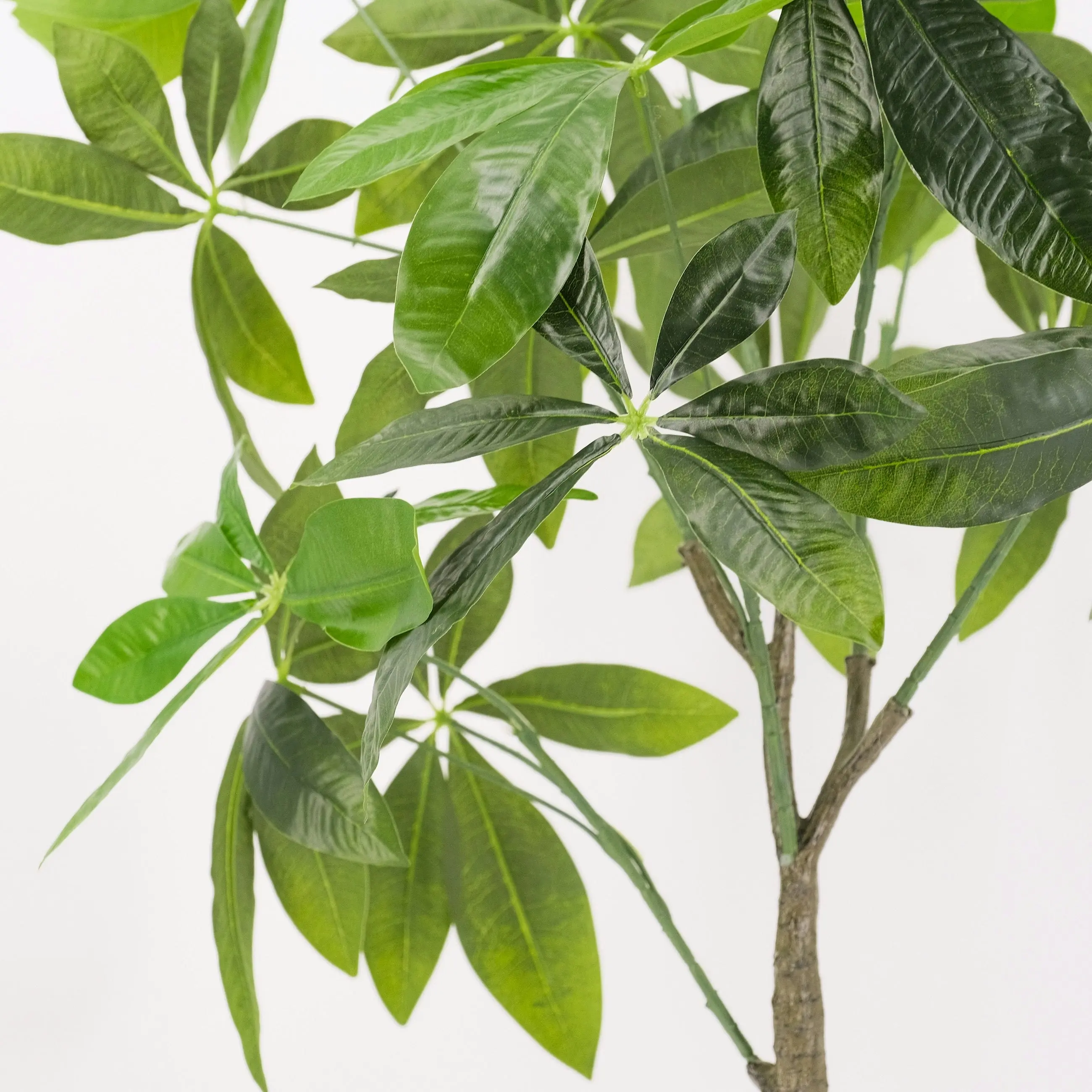 Artificial Fortune (Money) Tree Plant 75cm