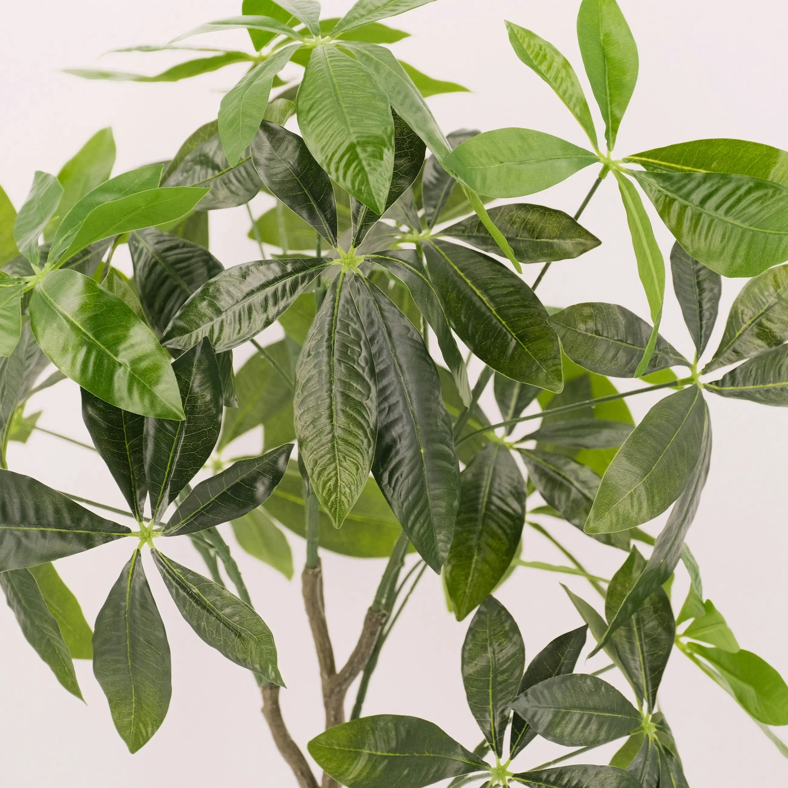 Artificial Fortune (Money) Tree Plant 75cm