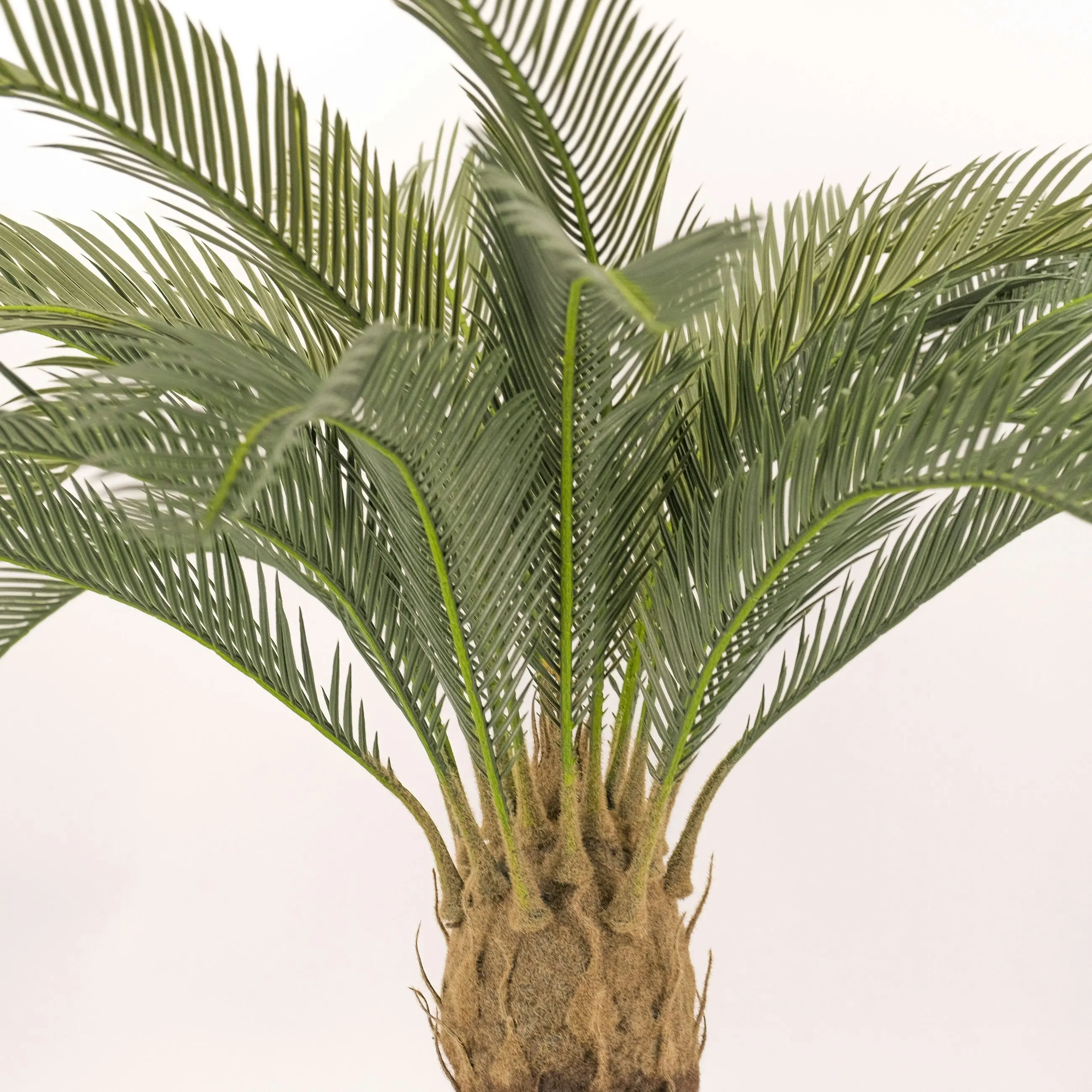 Large Artificial Cycad Palm Plant 82cm