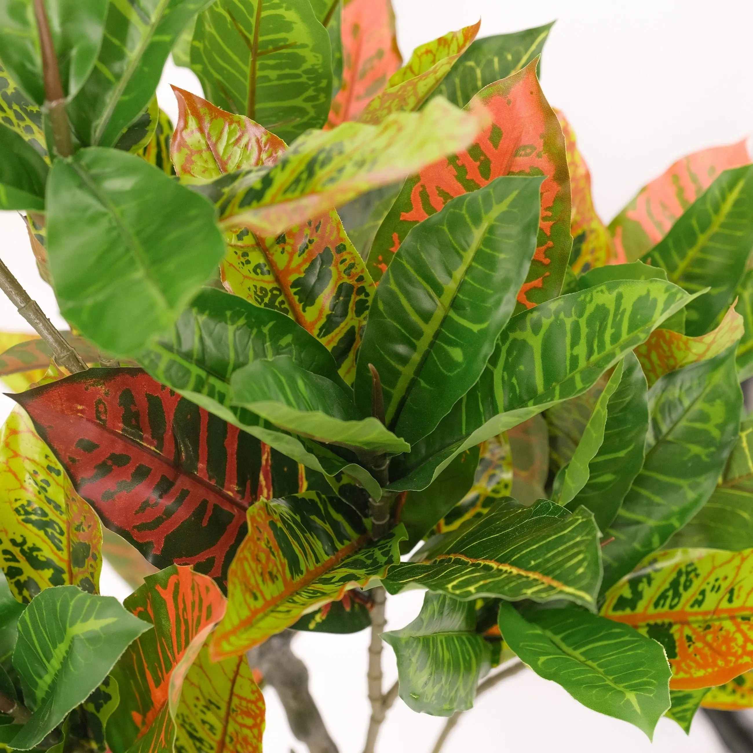 Large Artificial Plants - Petra Croton (Banyan) 125cm