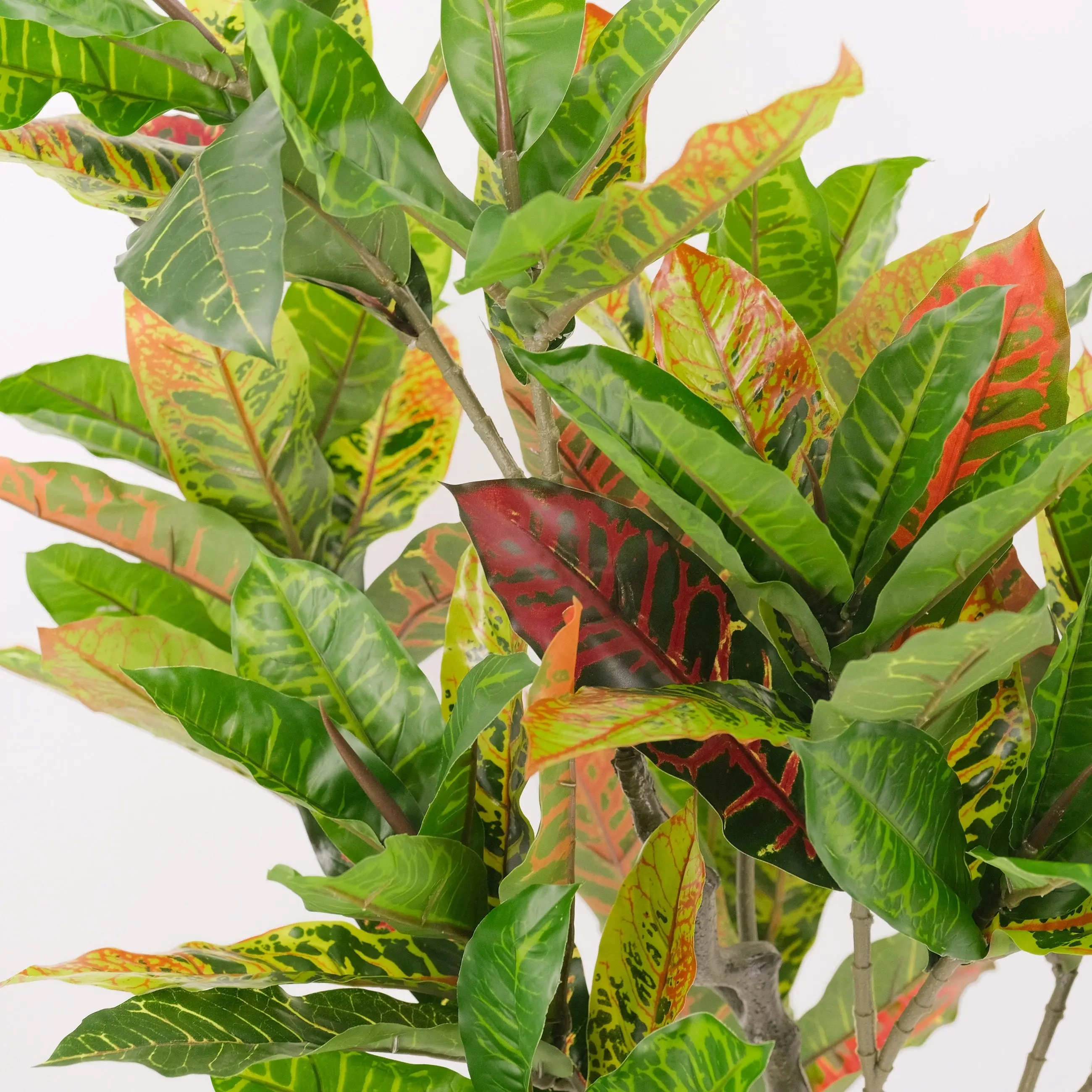 Large Artificial Plants - Petra Croton (Banyan) 125cm