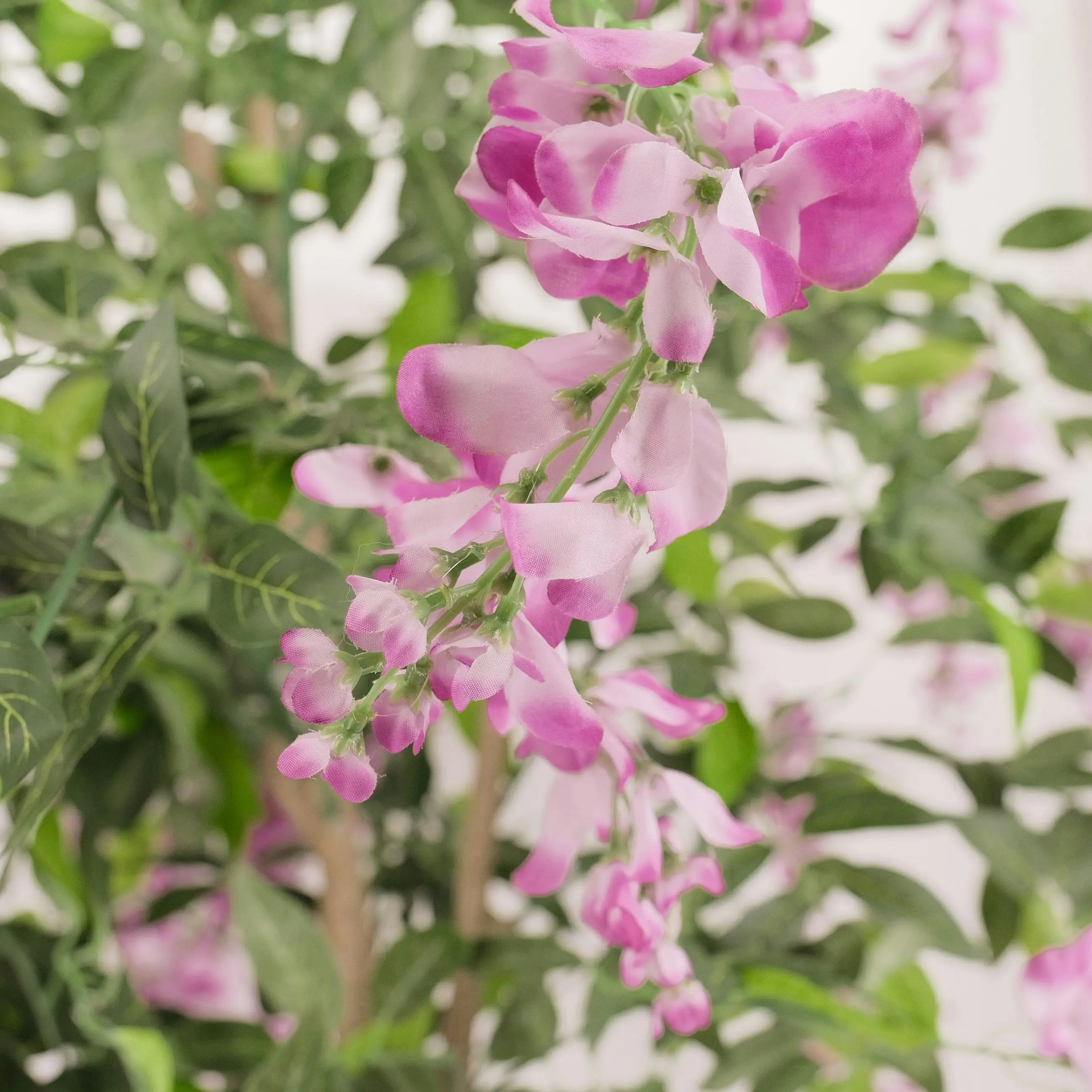 Large Artificial Plants - Wisteria with purple flowers 180cm