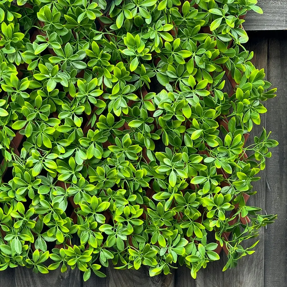 Expanding Trellis - Artificial Barberry leaves Light Green Outdoor 180 x 90cm