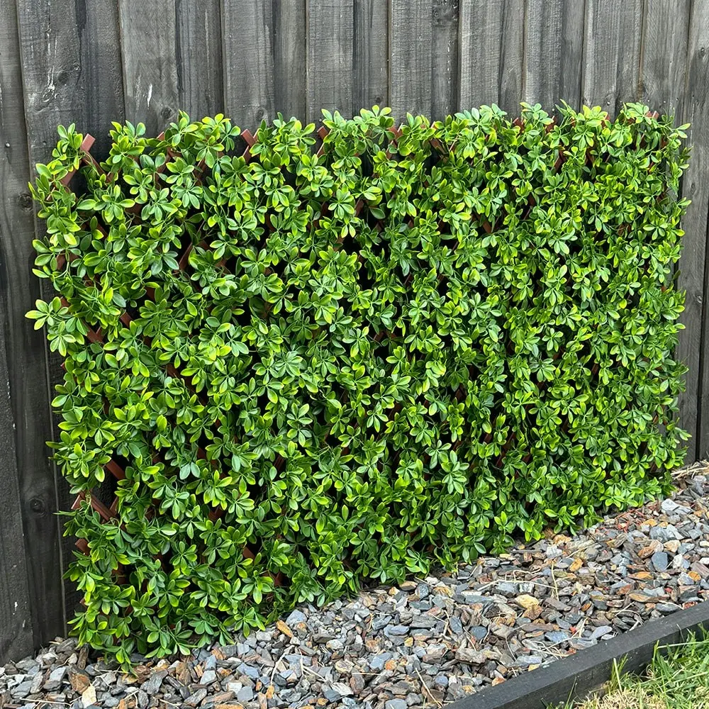 Expanding Trellis - Artificial Barberry leaves Light Green Outdoor 180 x 90cm