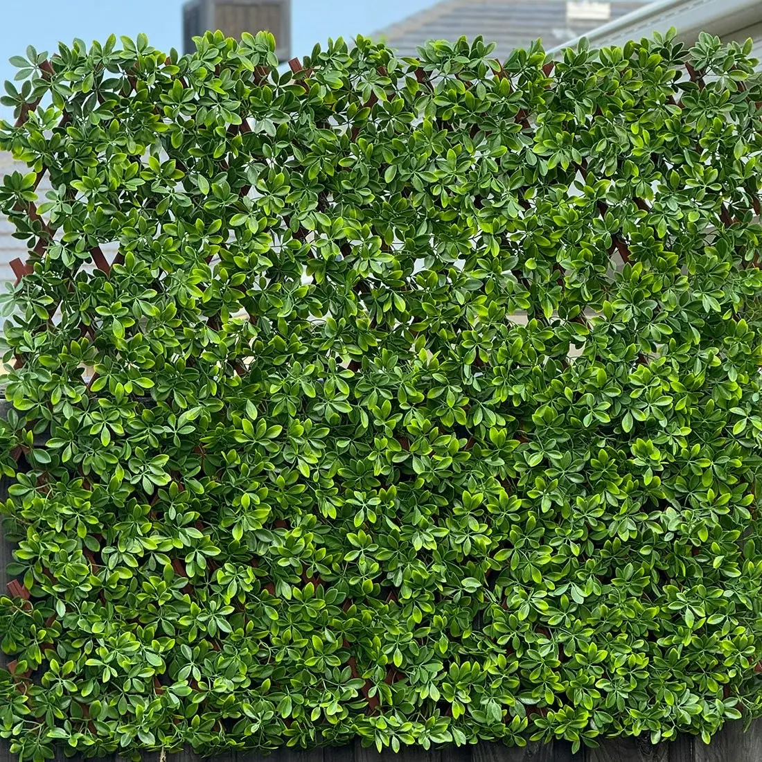 Expanding Trellis - Artificial Barberry leaves Light Green Outdoor 180 x 90cm