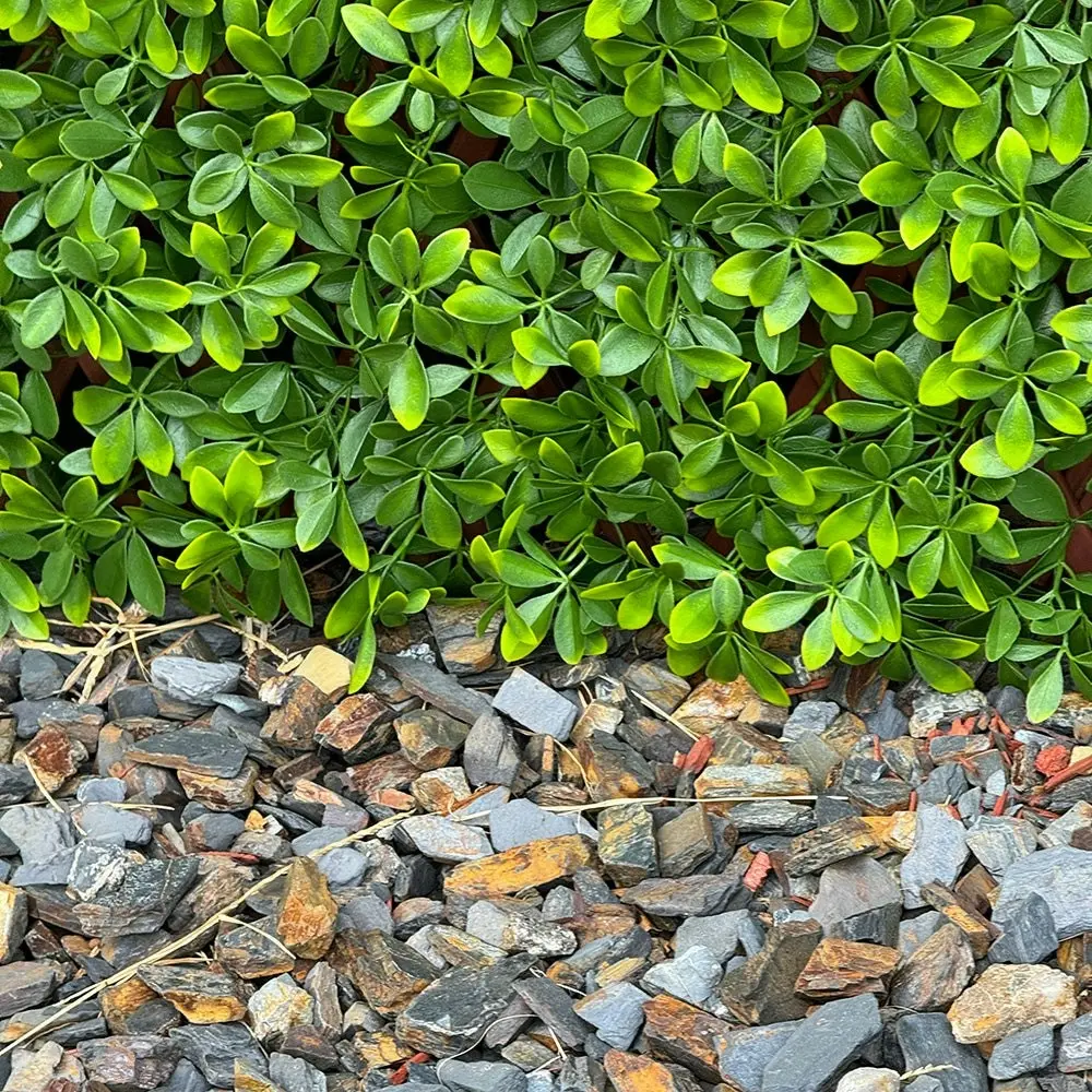 Expanding Trellis - Artificial Barberry leaves Light Green Outdoor 180 x 90cm