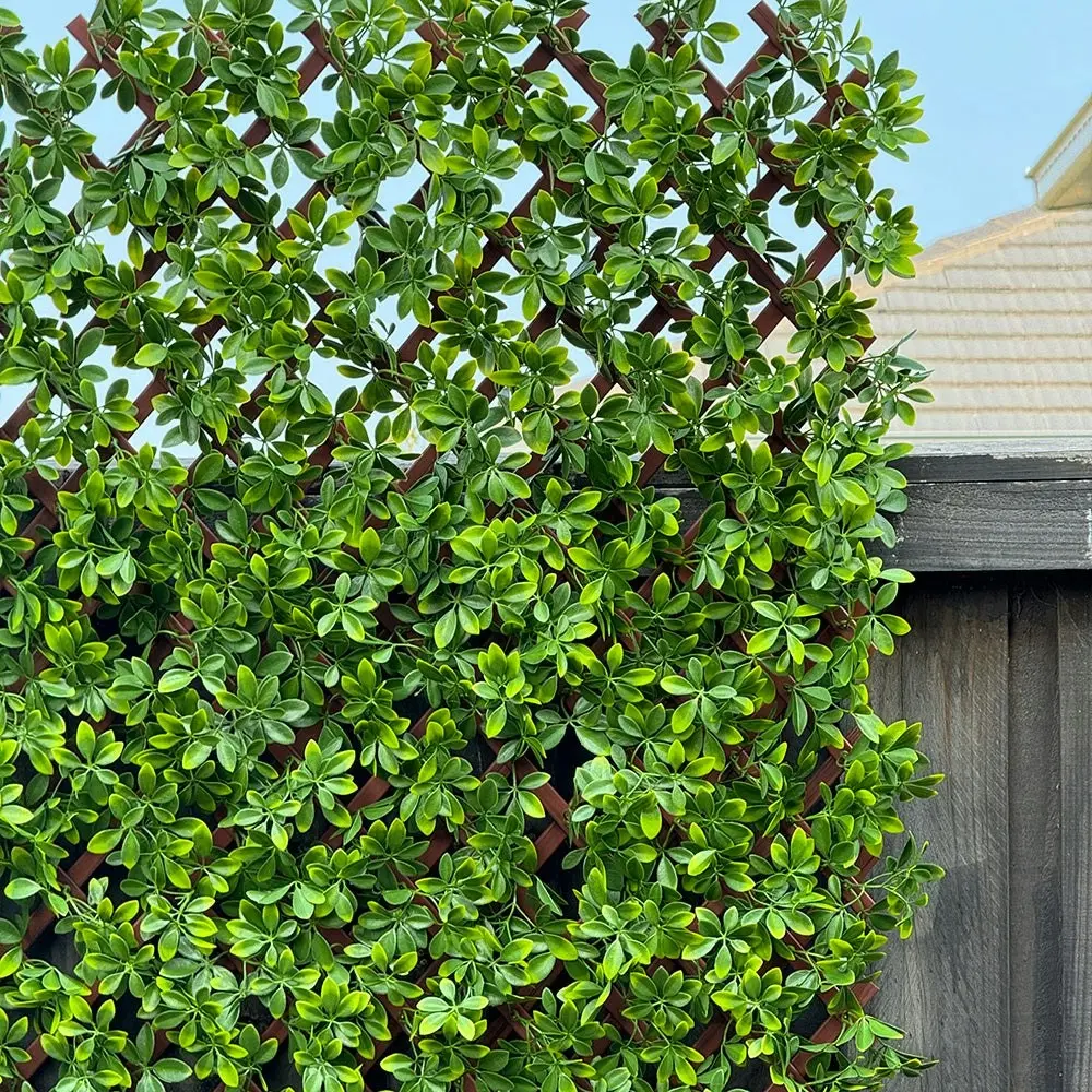 Expanding Trellis - Artificial Barberry leaves Light Green Outdoor 180 x 90cm