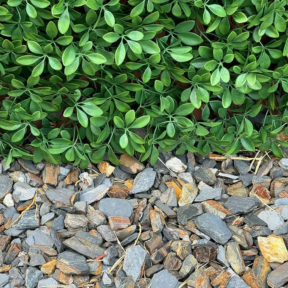 Expanding Trellis Screening - UV Protected Dark Green Barberry